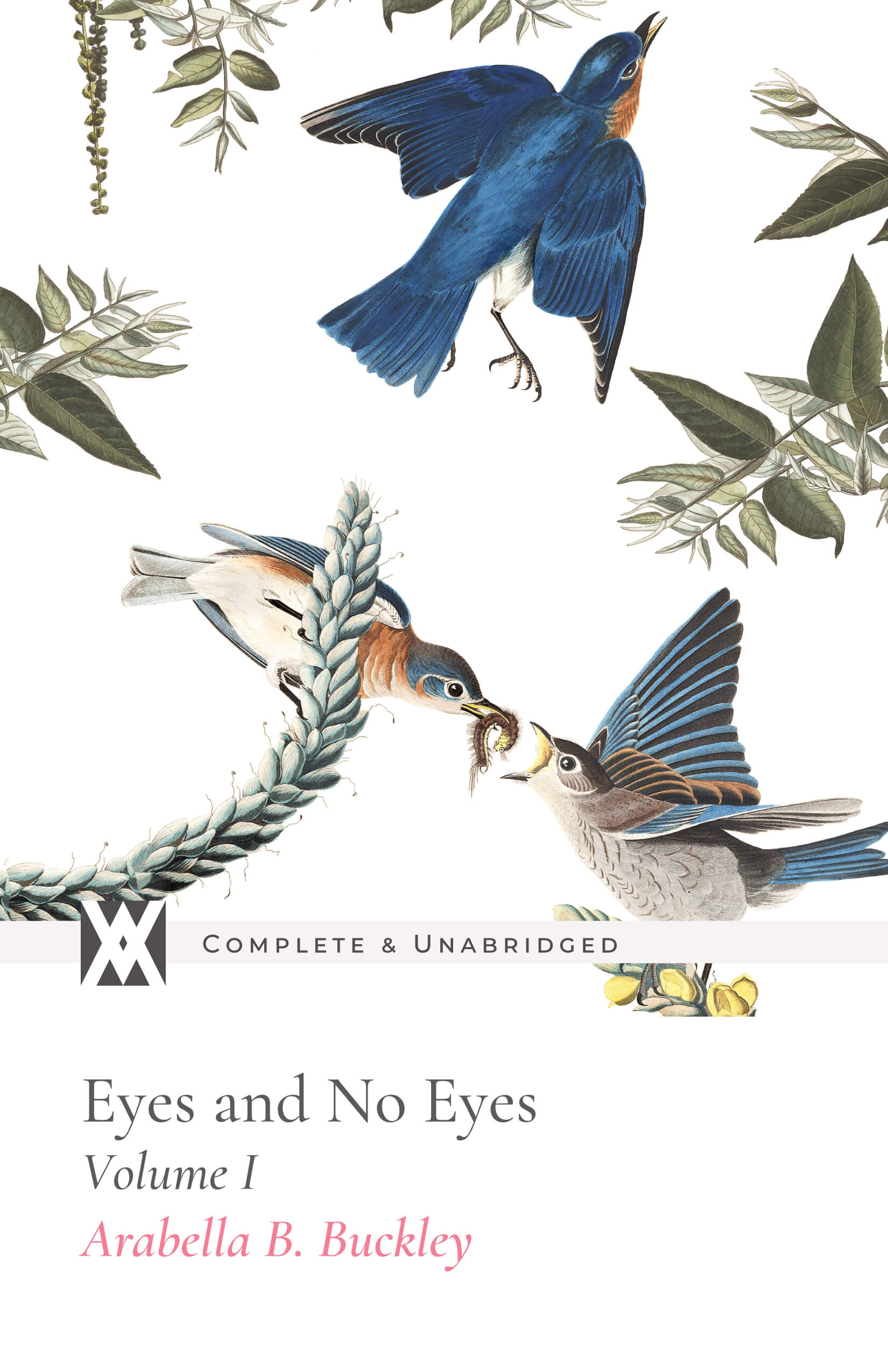 Eyes and No Eyes - Arabella Buckley – New West Press