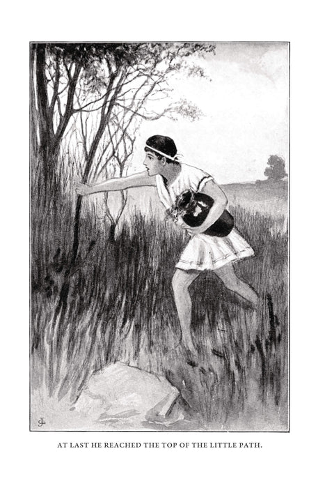 Our Little Spartan Cousin