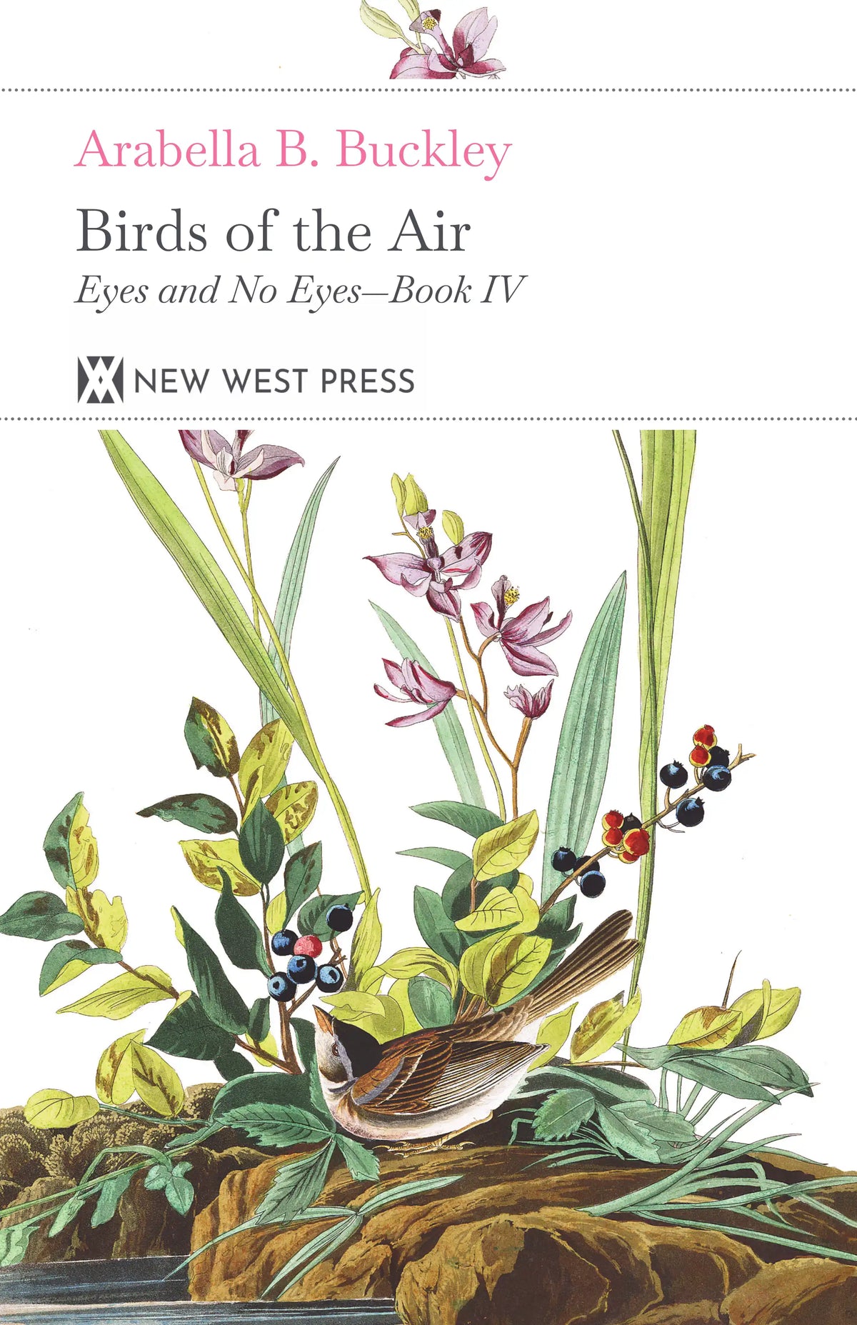 Birds of the Air — Front cover