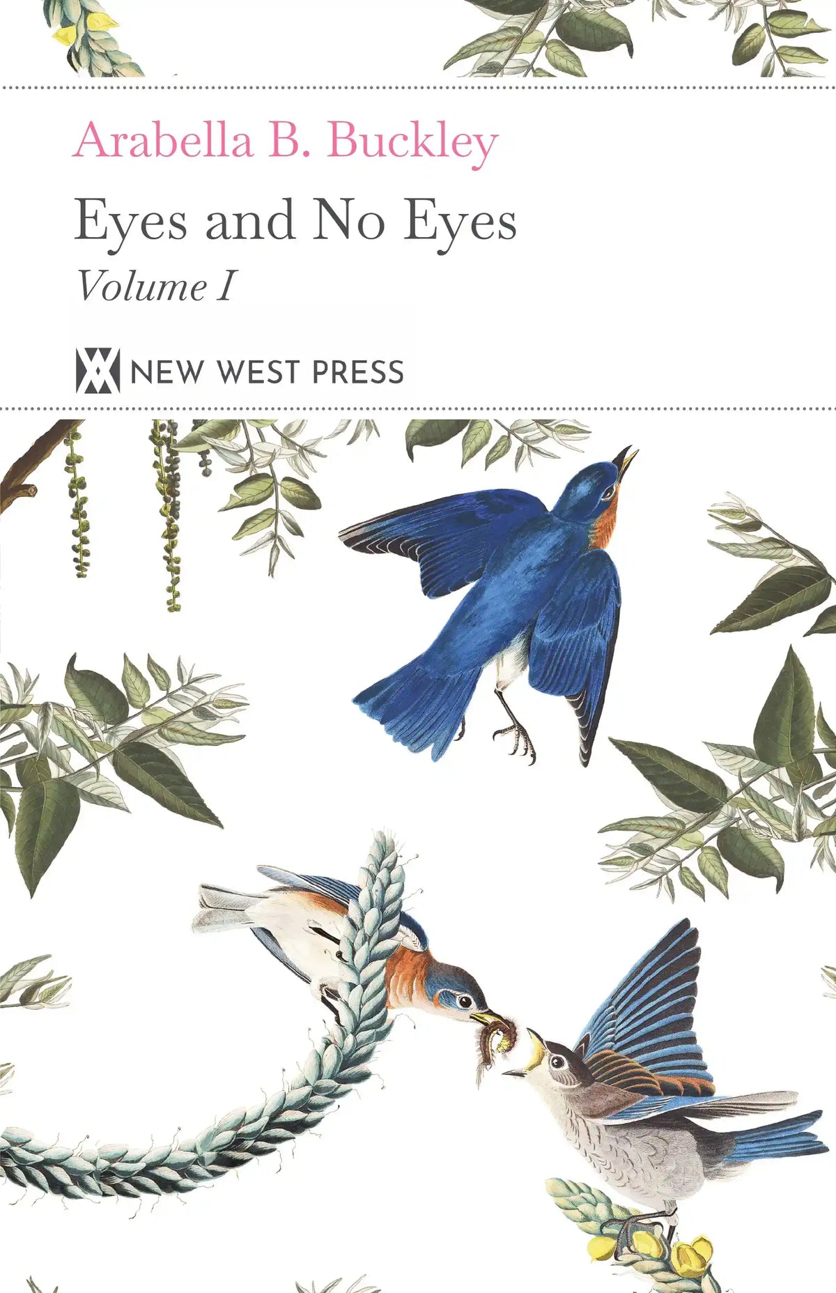 Eyes and No Eyes: Volume I by Arabella Buckley — Front cover
