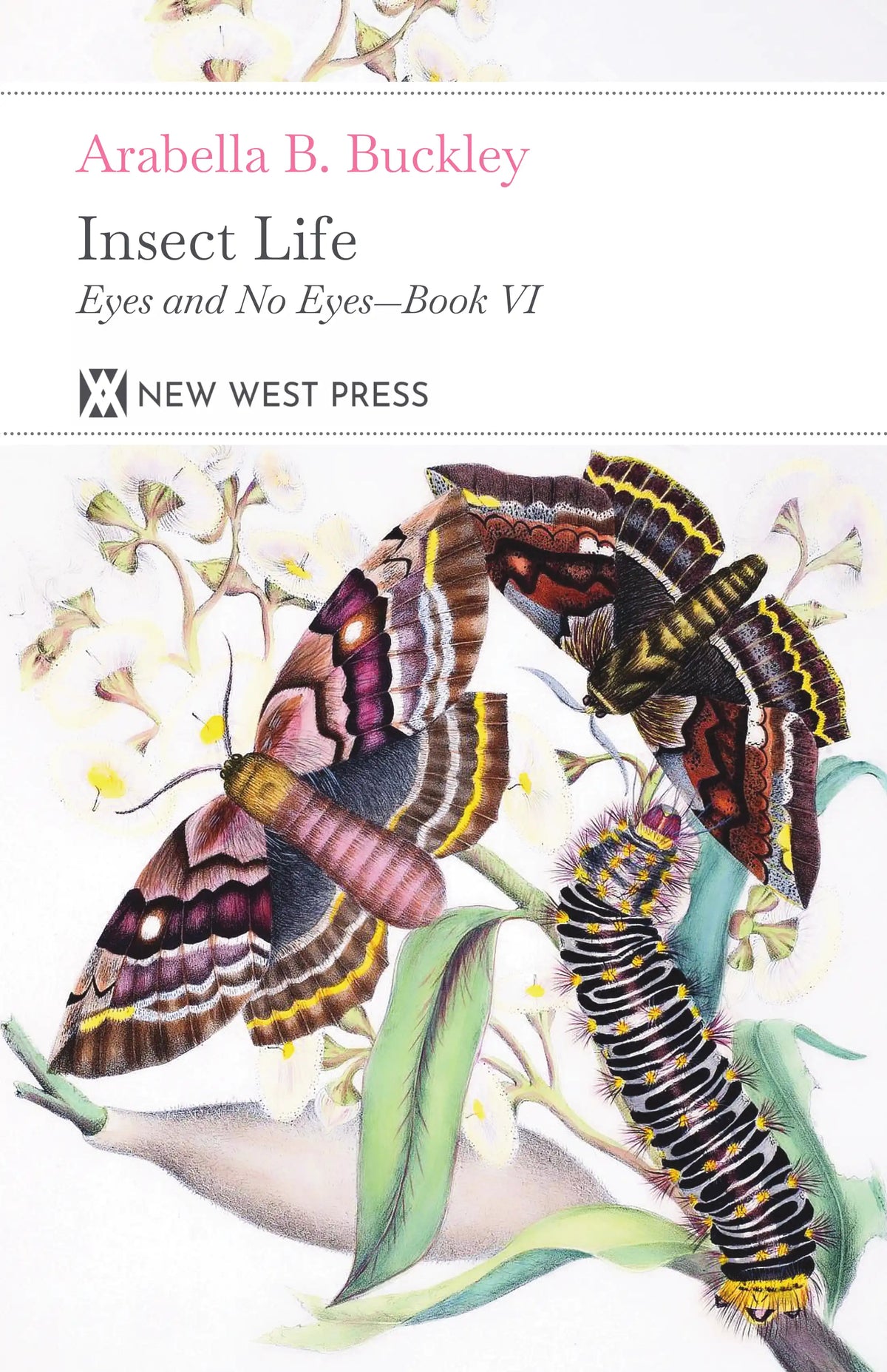 Insect Life — Front cover