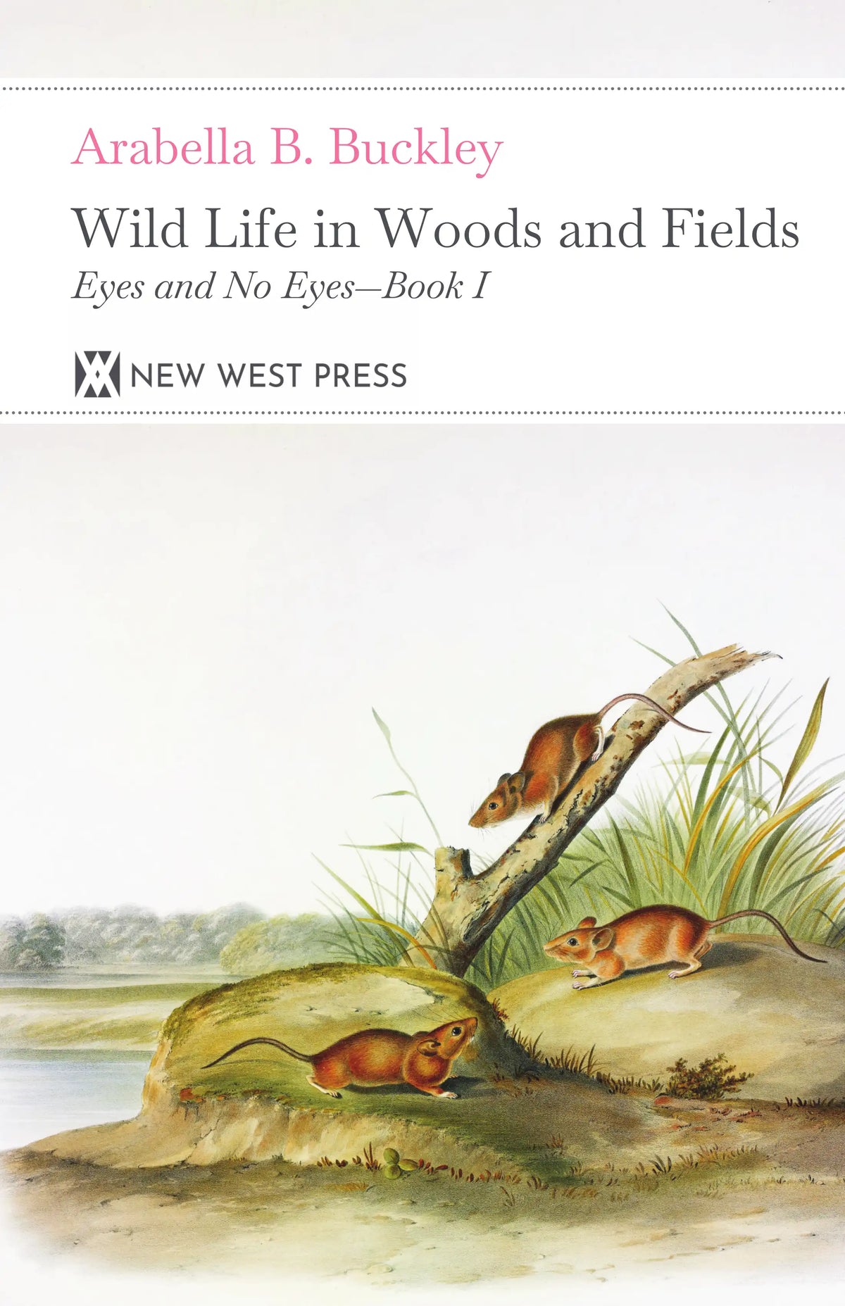 Wild Life in Woods and Fields — Front cover