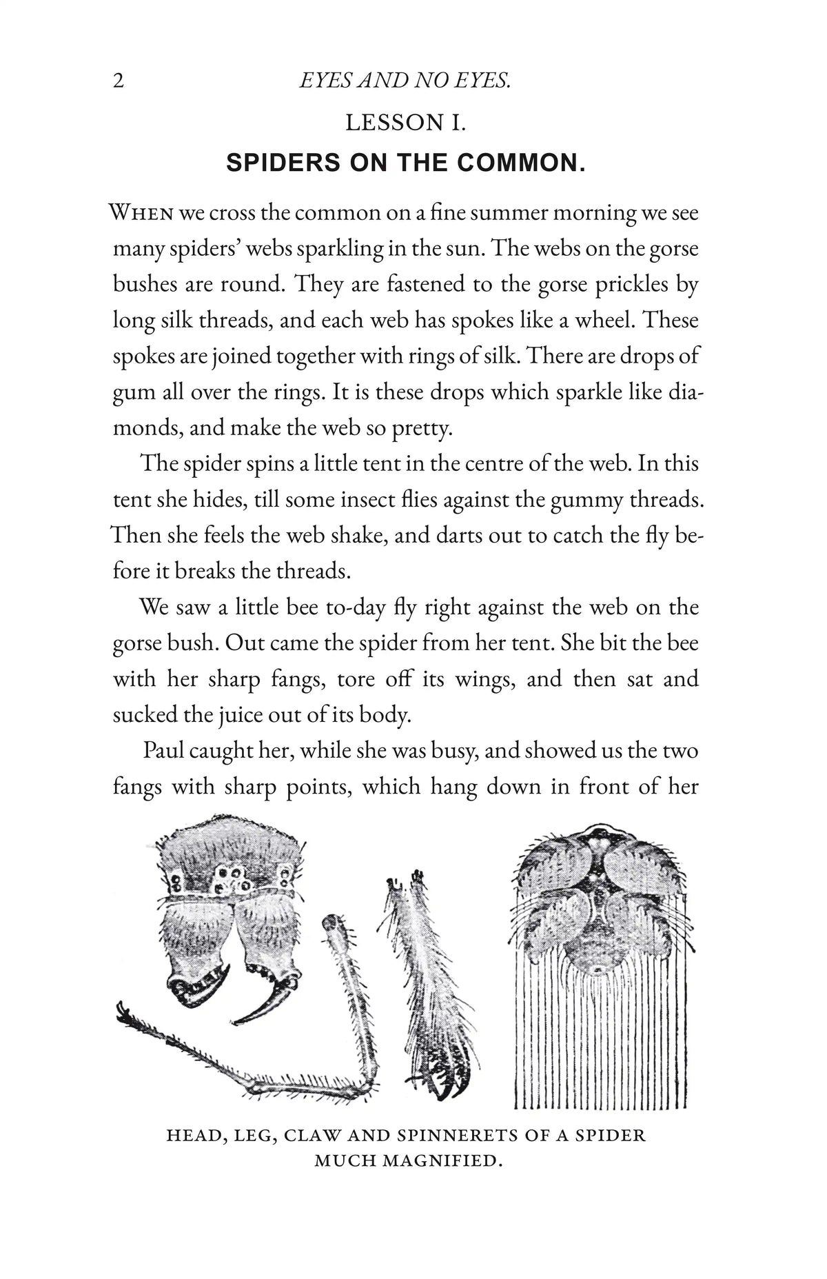 Wild Life in Woods and Fields — Page 2