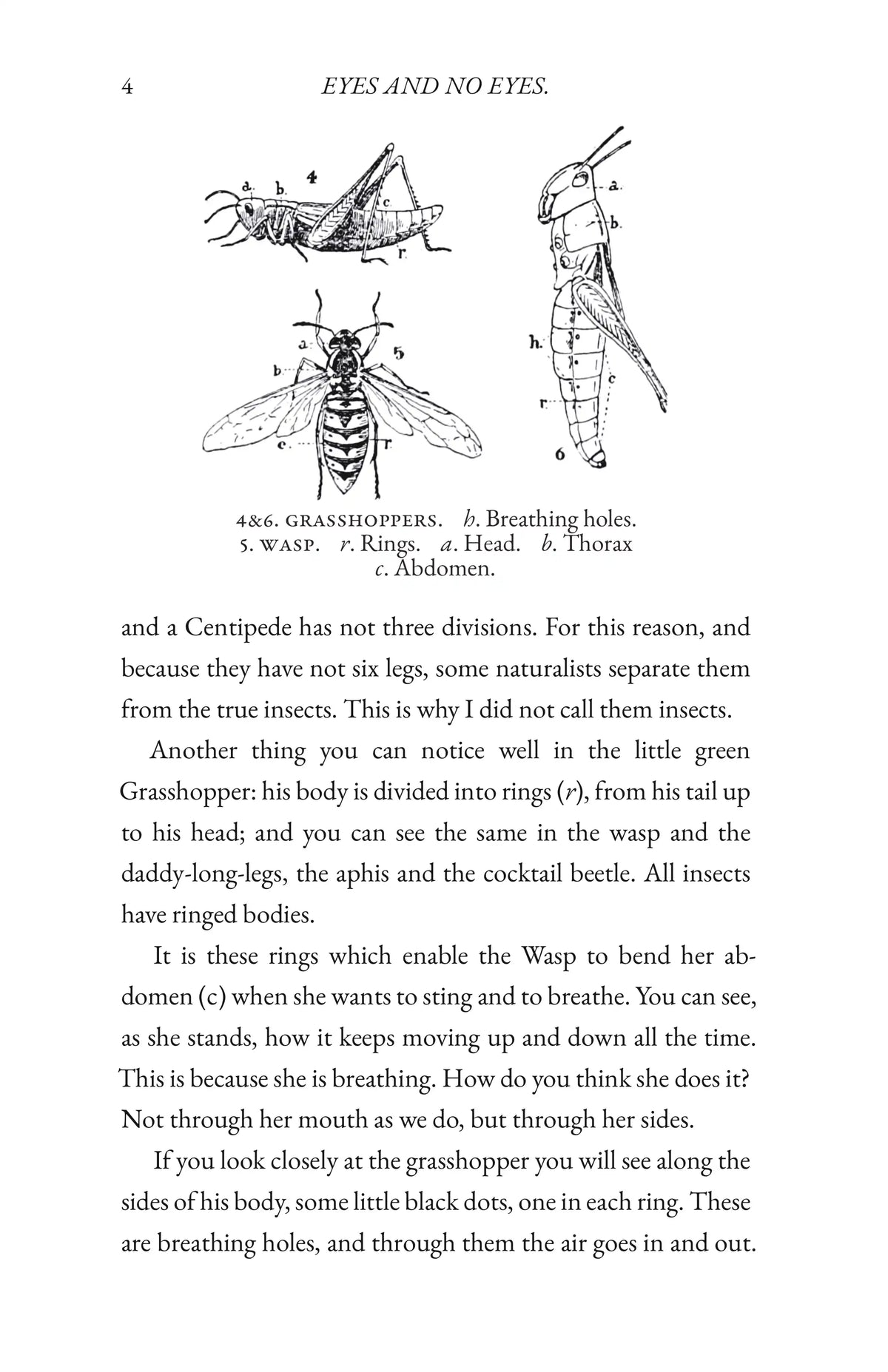 Insect Life — Page 4