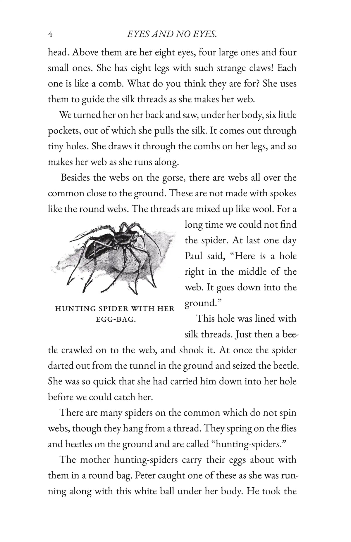 Wild Life in Woods and Fields — Page 4