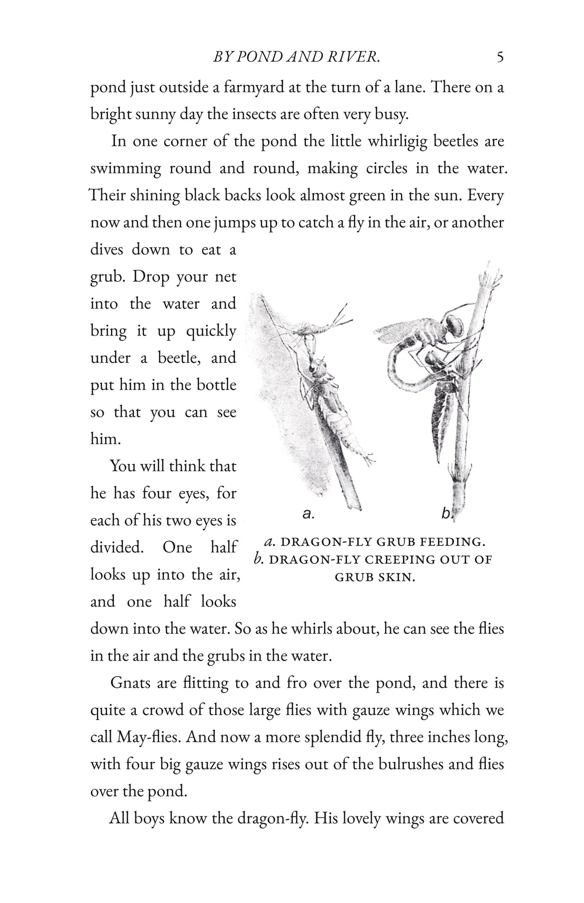 By Pond and River — Page 5