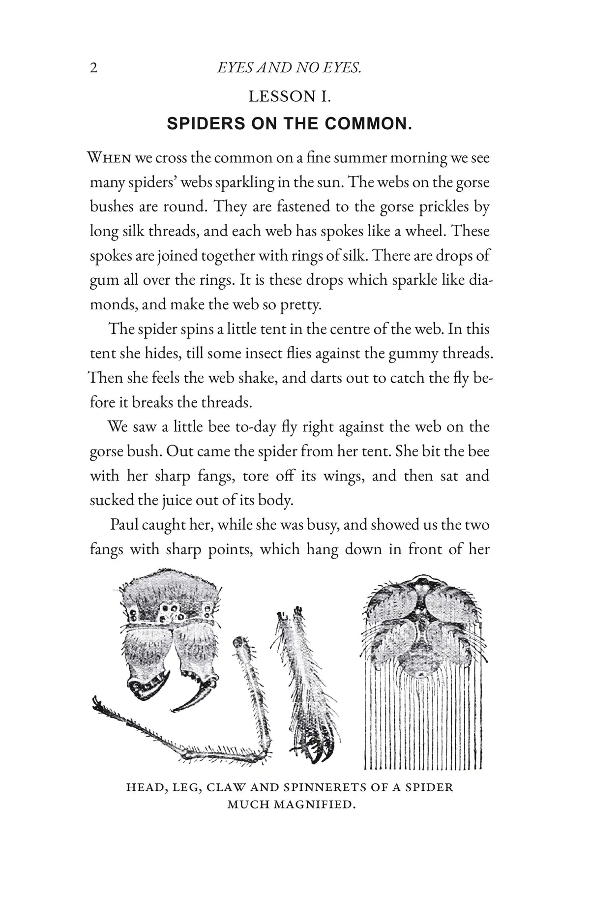 Eyes and No Eyes: Volume I by Arabella Buckley — Story page 02