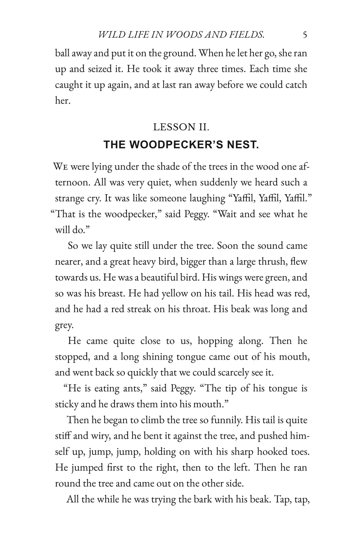 Wild Life in Woods and Fields — Page 5