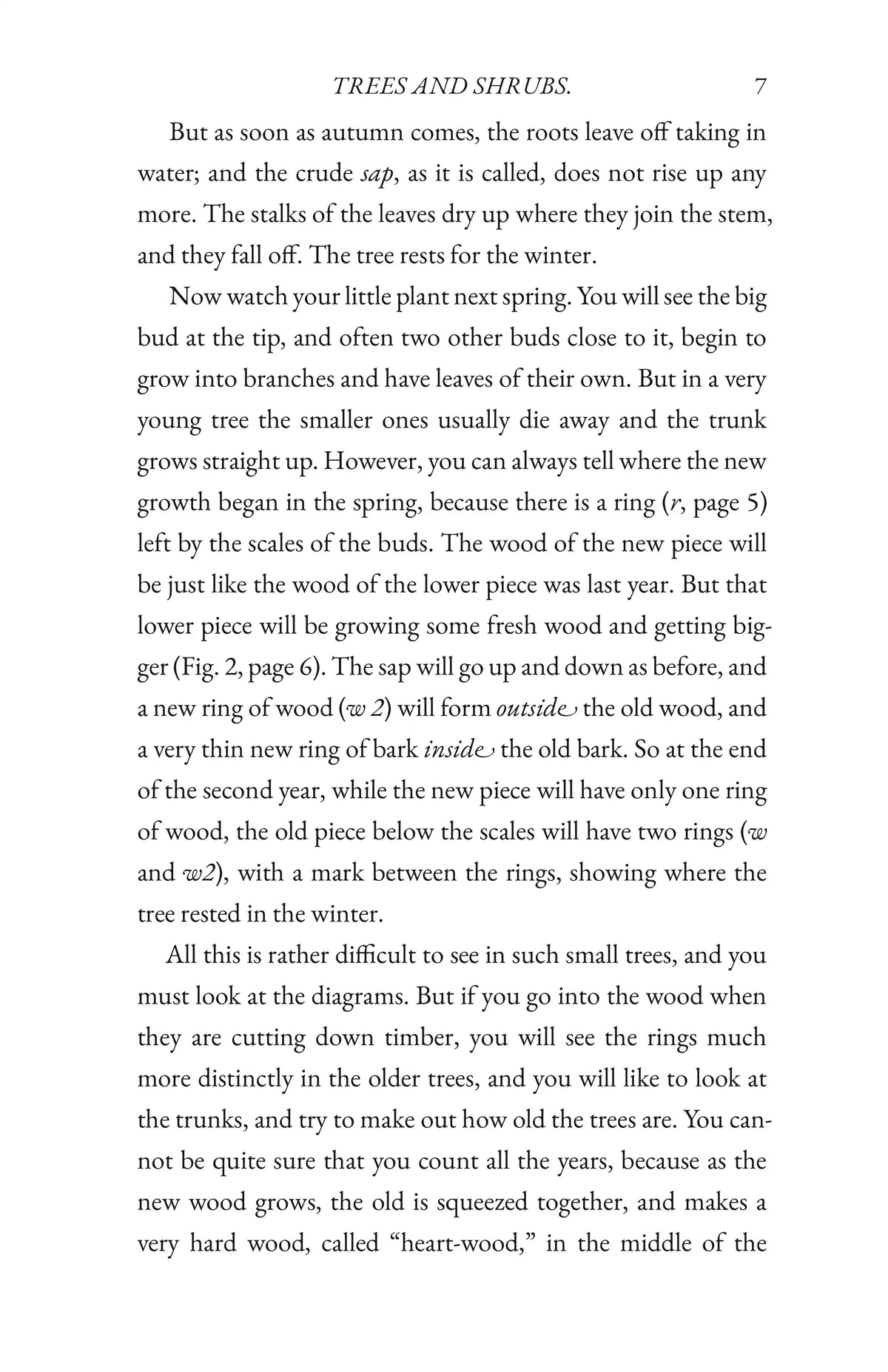 Trees and Shrubs — Page 7