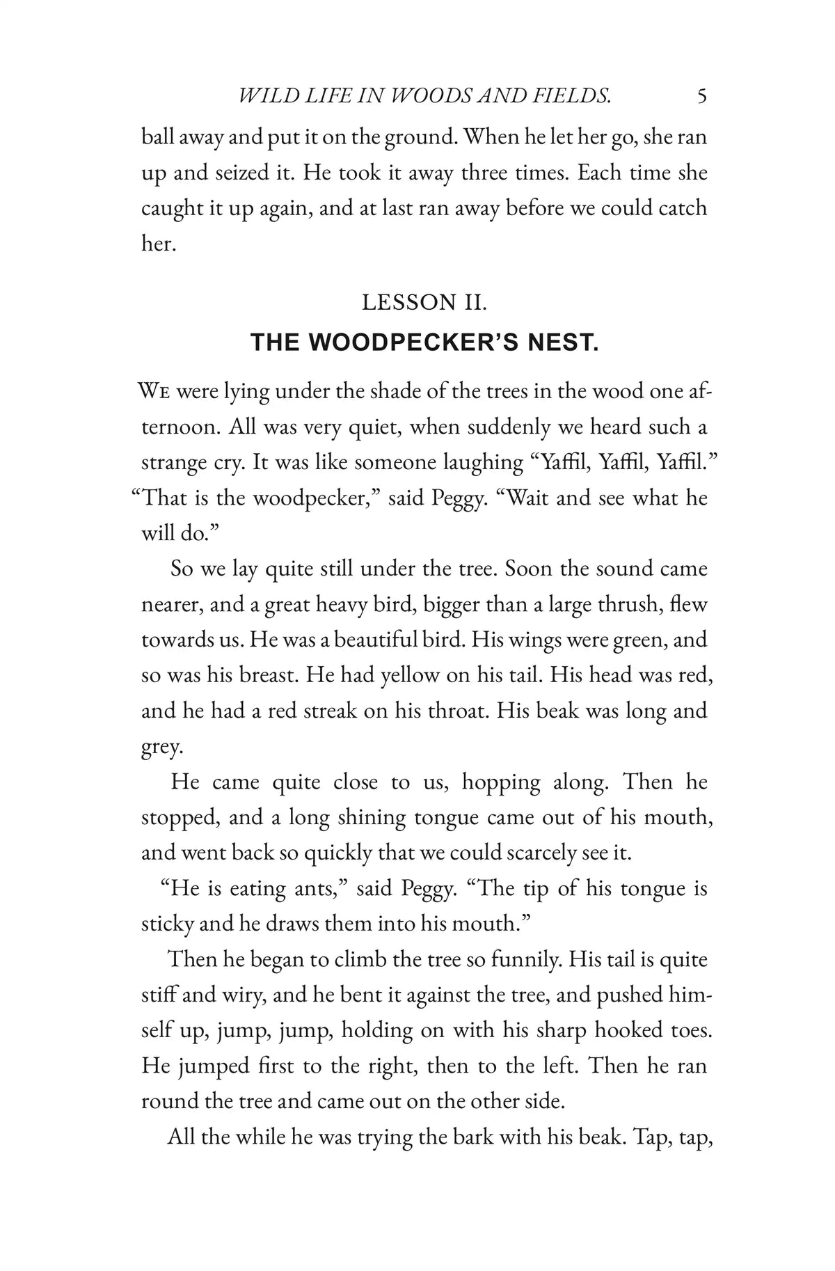 Eyes and No Eyes: Volume I by Arabella Buckley — Story page 05