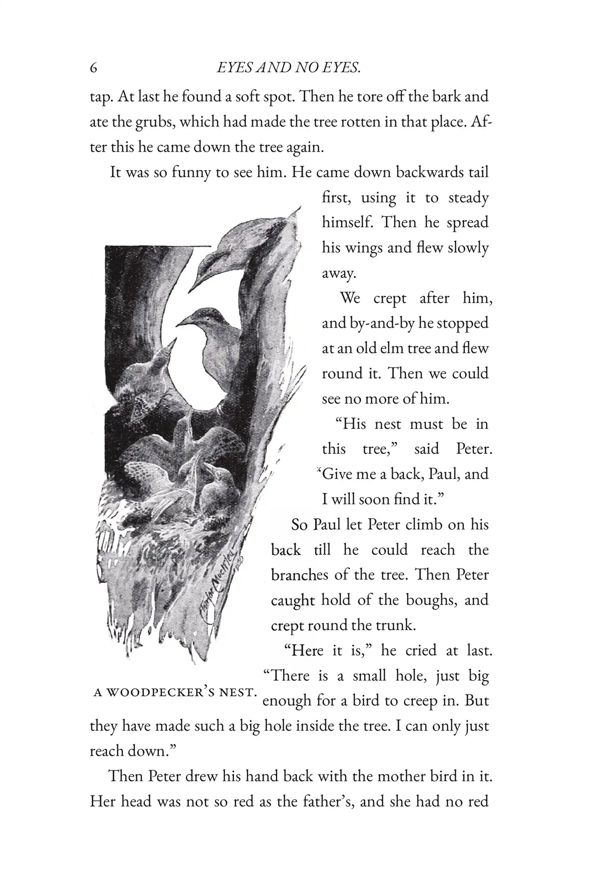 Eyes and No Eyes: Volume I by Arabella Buckley — Story page 06