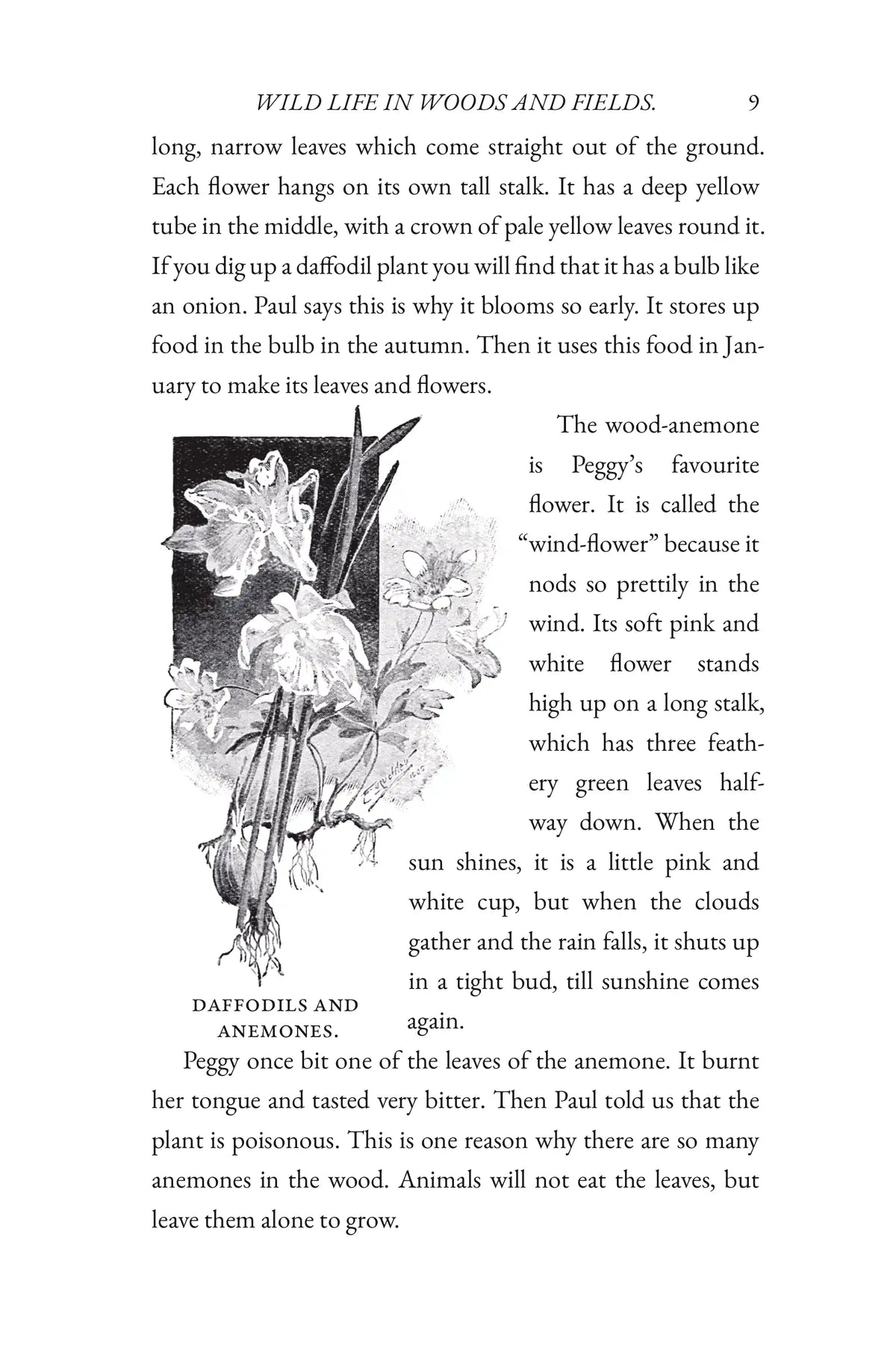 Eyes and No Eyes: Volume I by Arabella Buckley — Story page 09