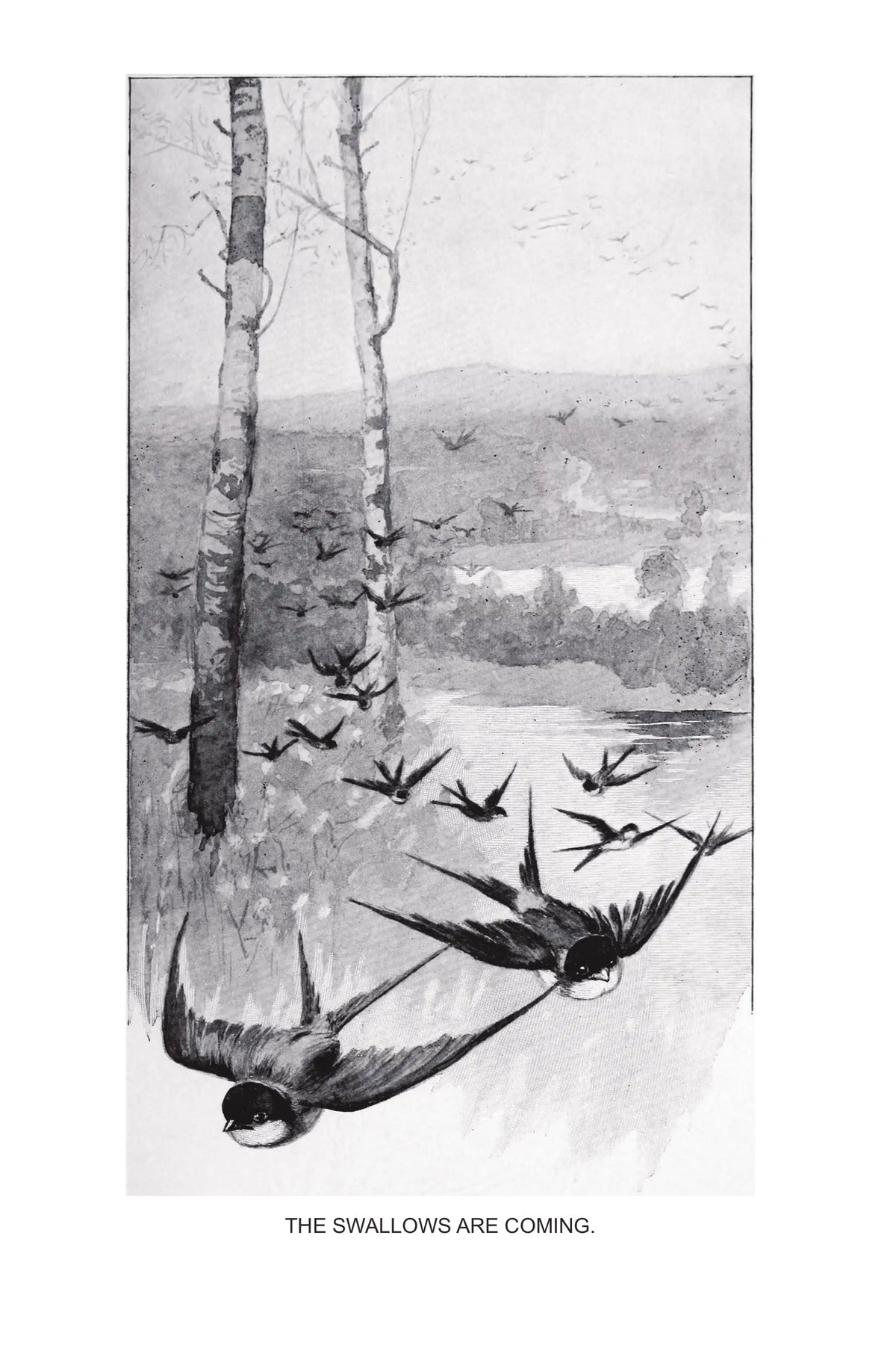 Among the Farmyard People — story page 2