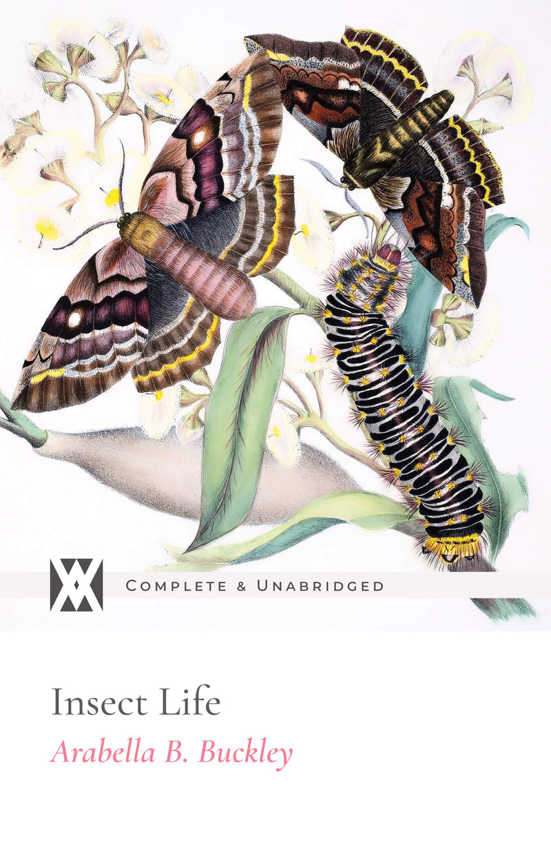 Insect Life