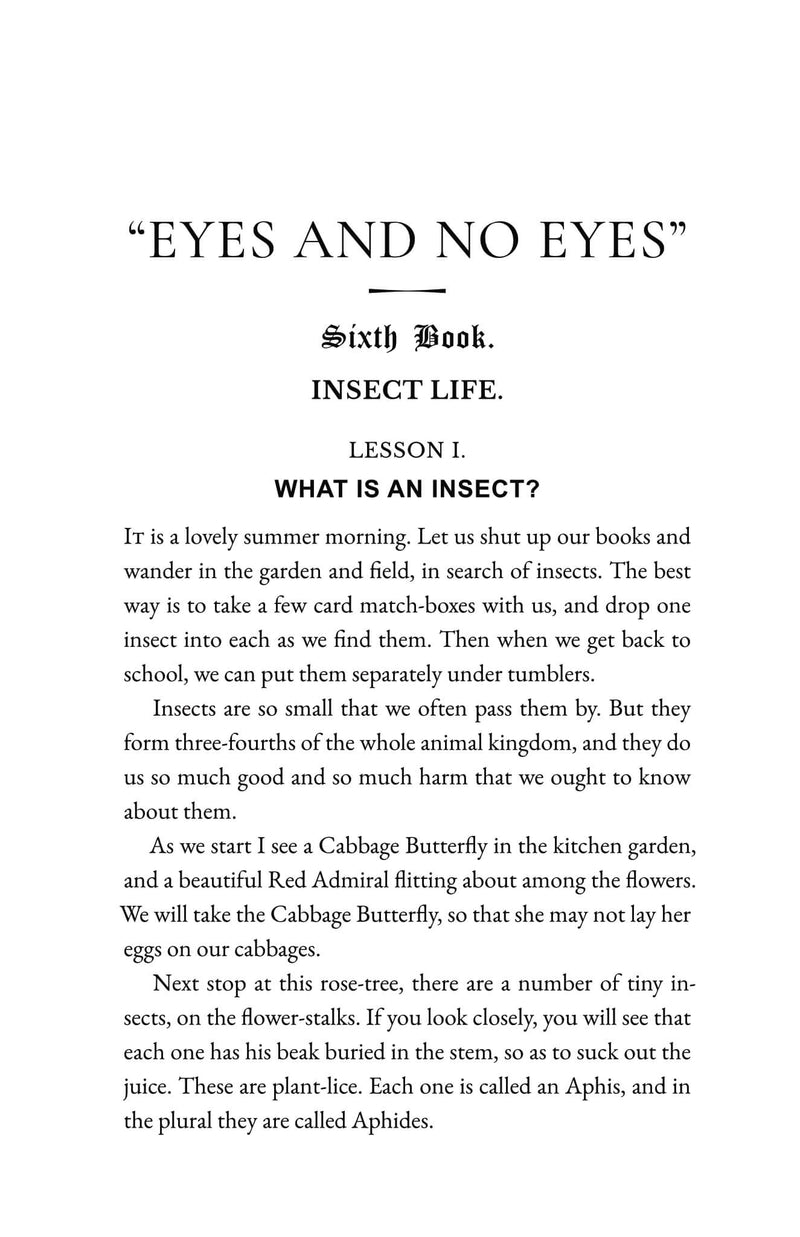 Insect Life