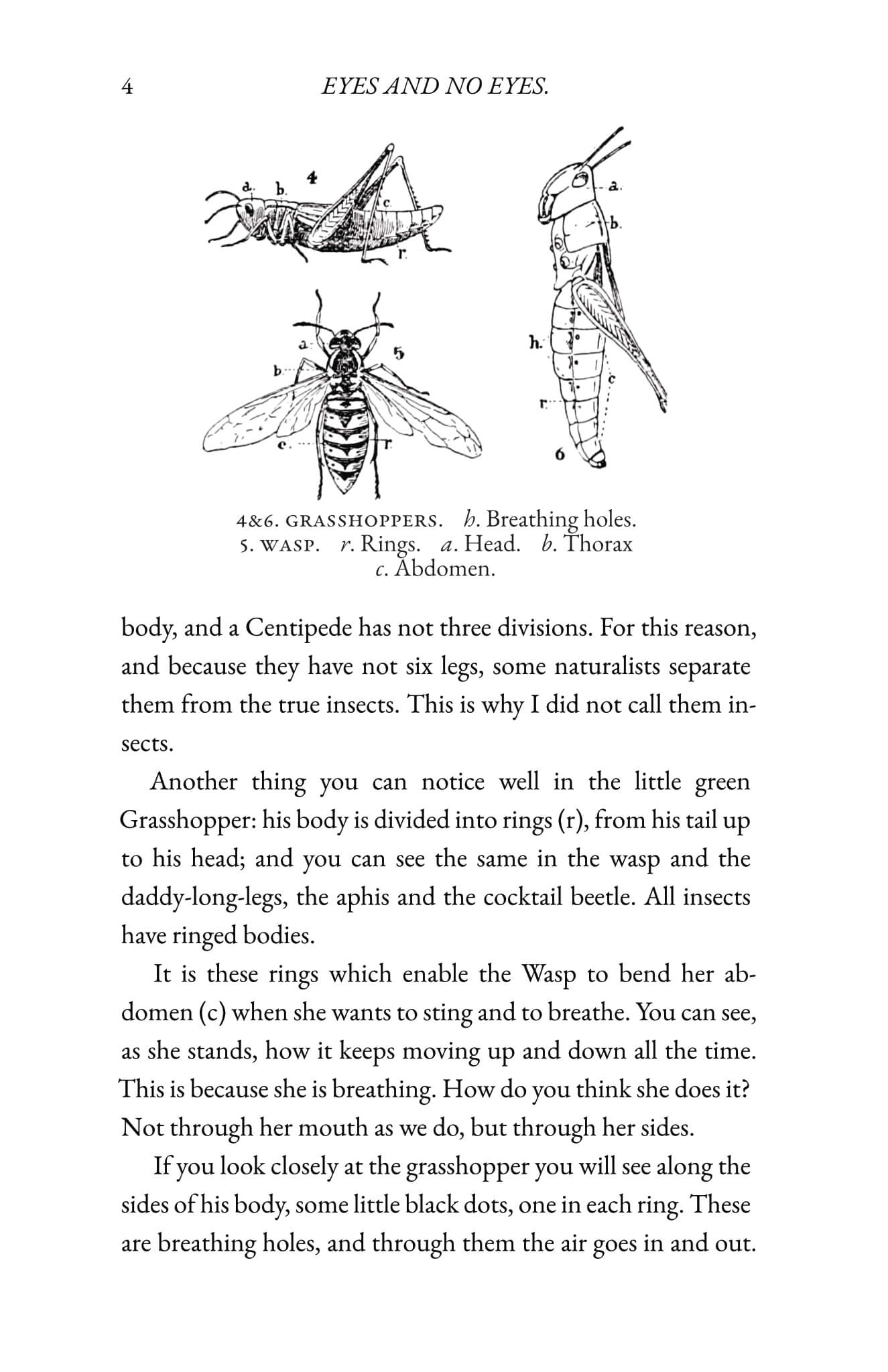 Insect Life