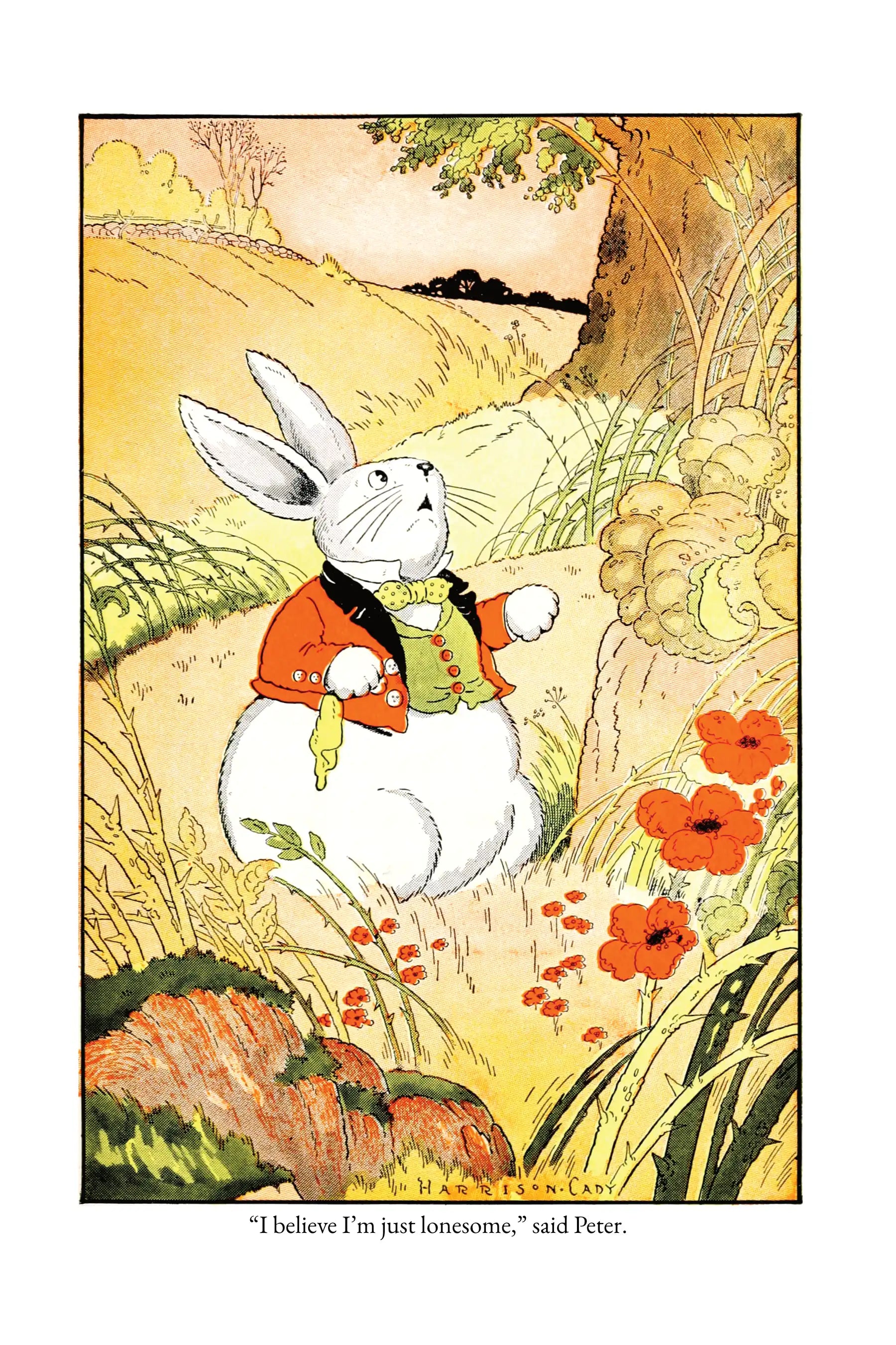 Mrs. Peter Rabbit