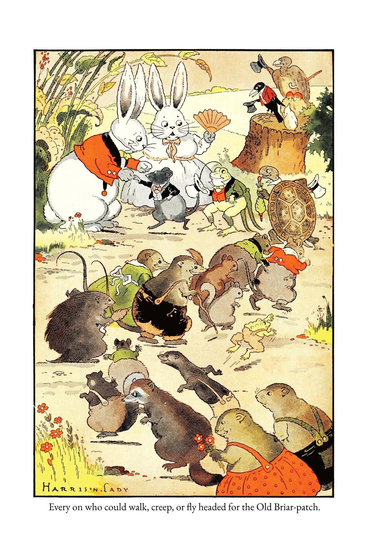 Mrs. Peter Rabbit