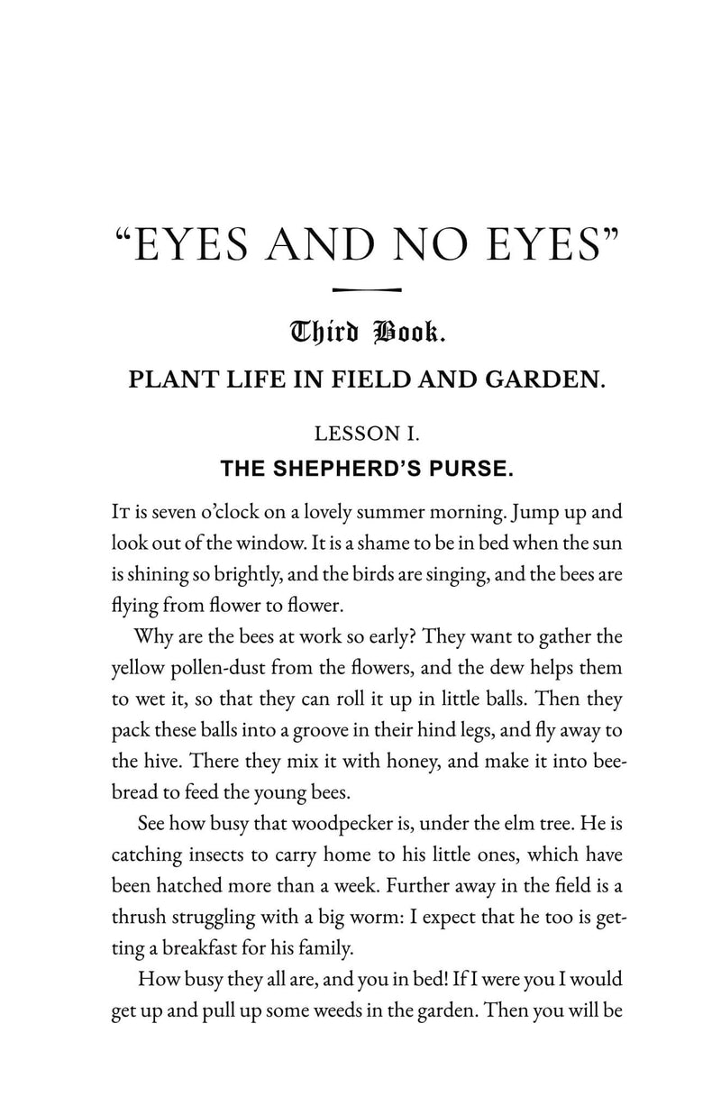 Plant Life In Field and Garden