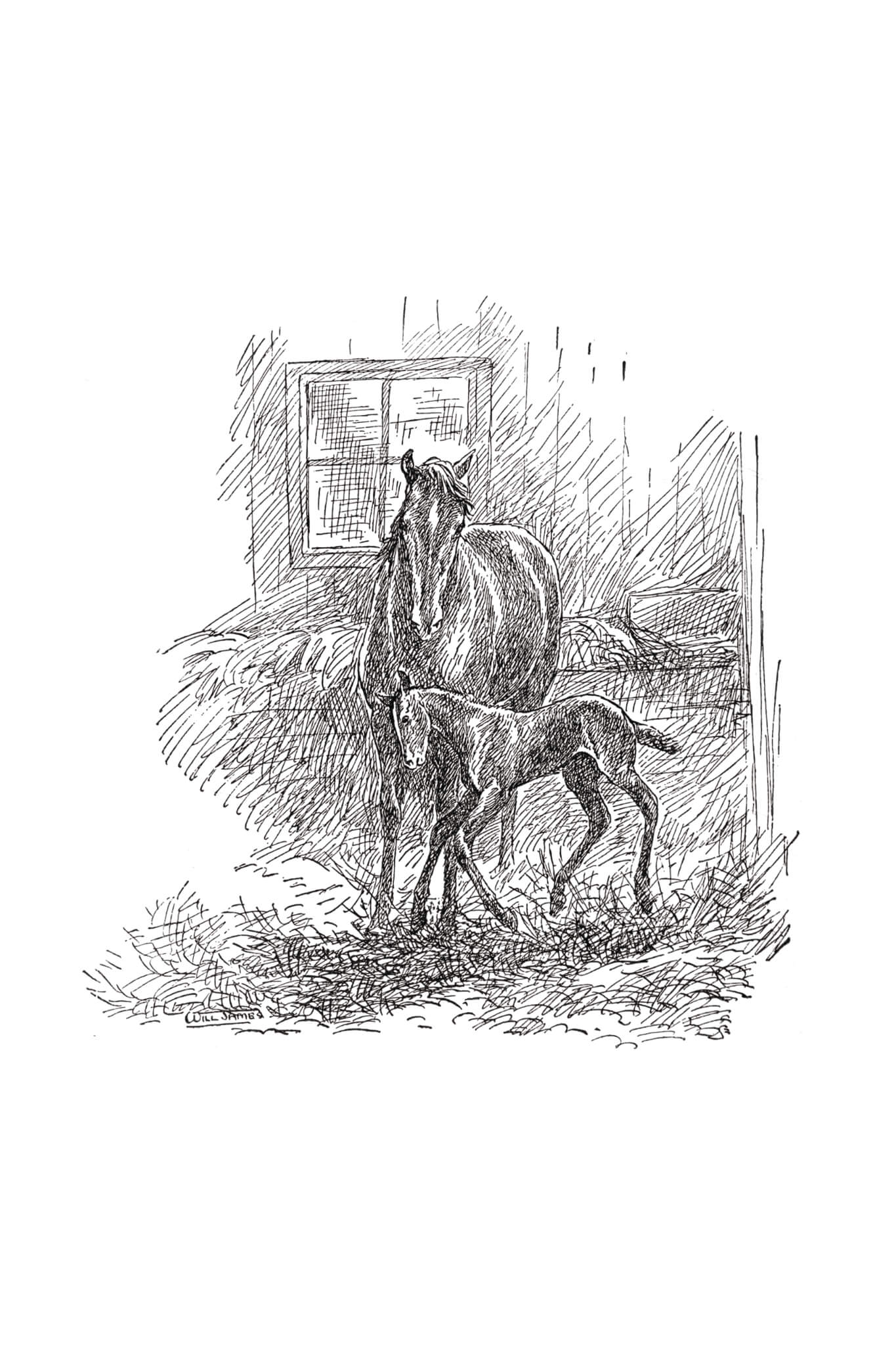 Smoky the Cowhorse