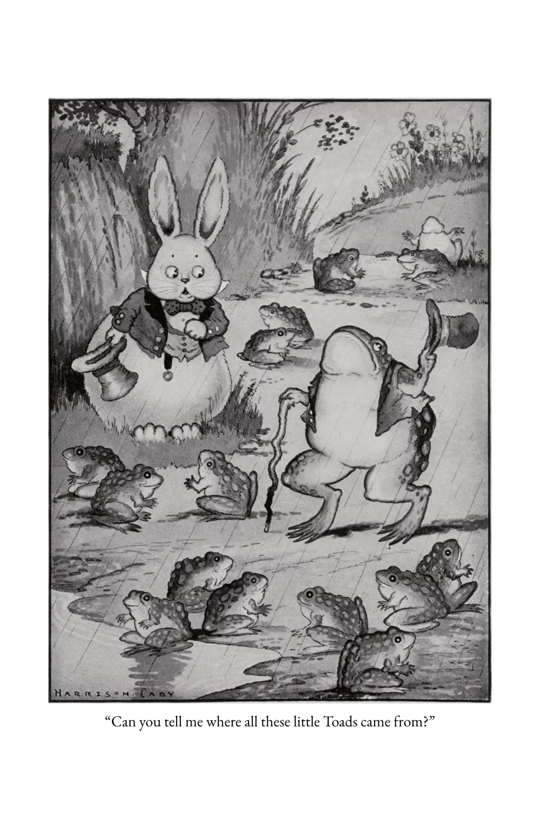 The Adventures of Old Mr. Toad