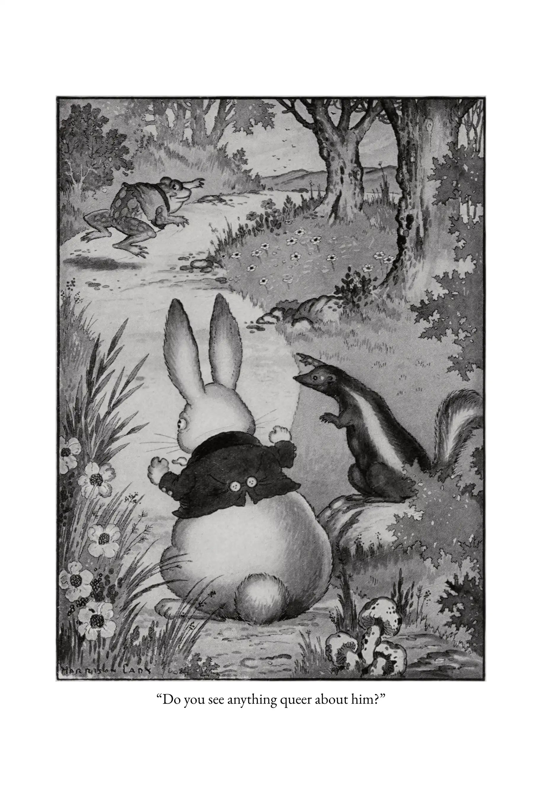 The Adventures of Old Mr. Toad