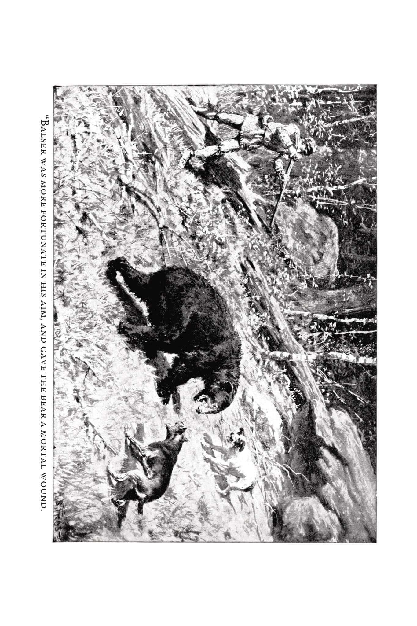 The Bears of Blue River