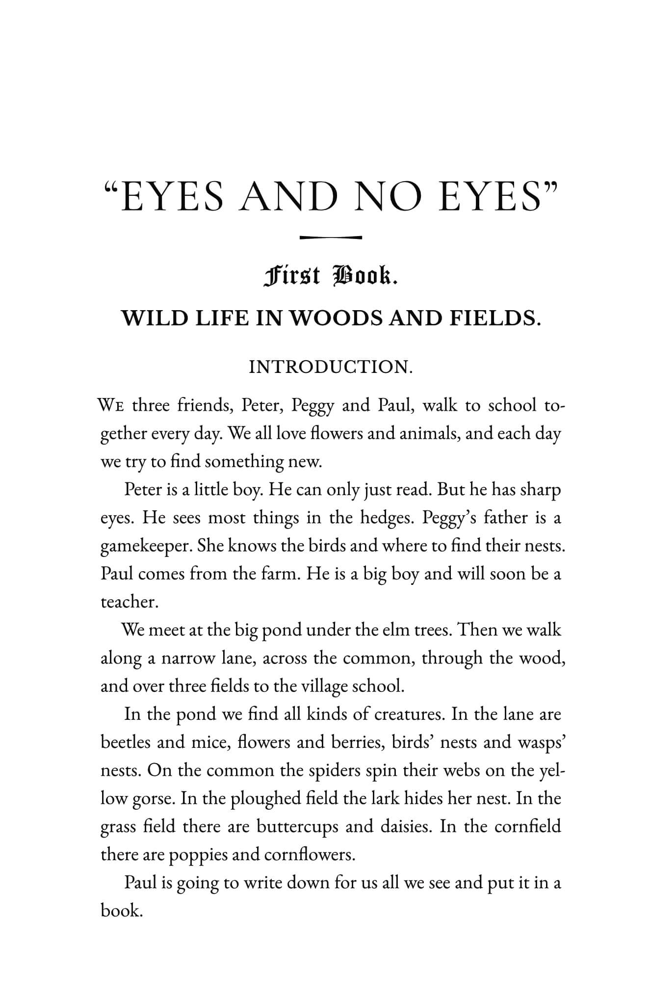 Wild Life In The Woods and Fields