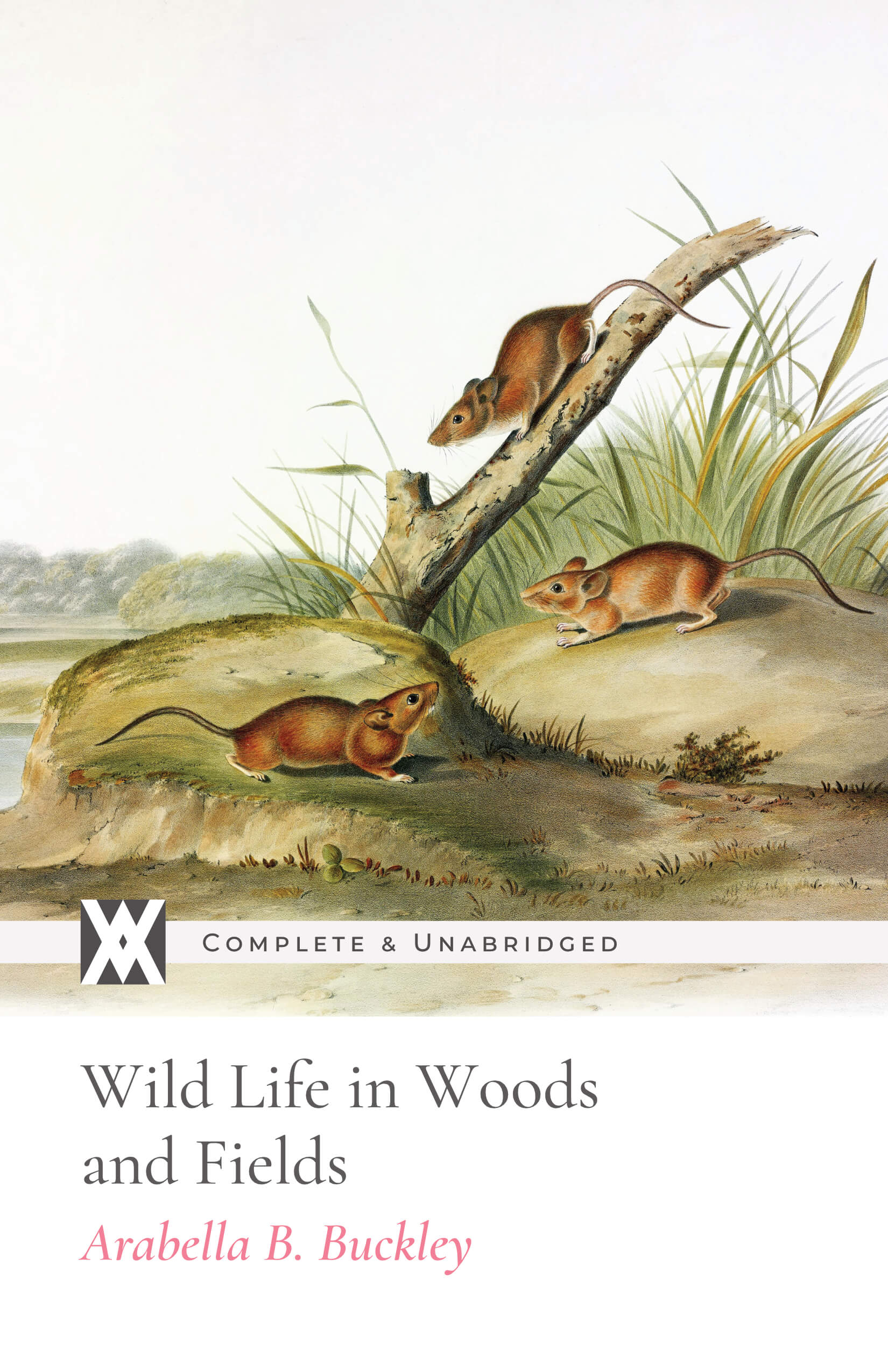 Wild Life In The Woods and Fields