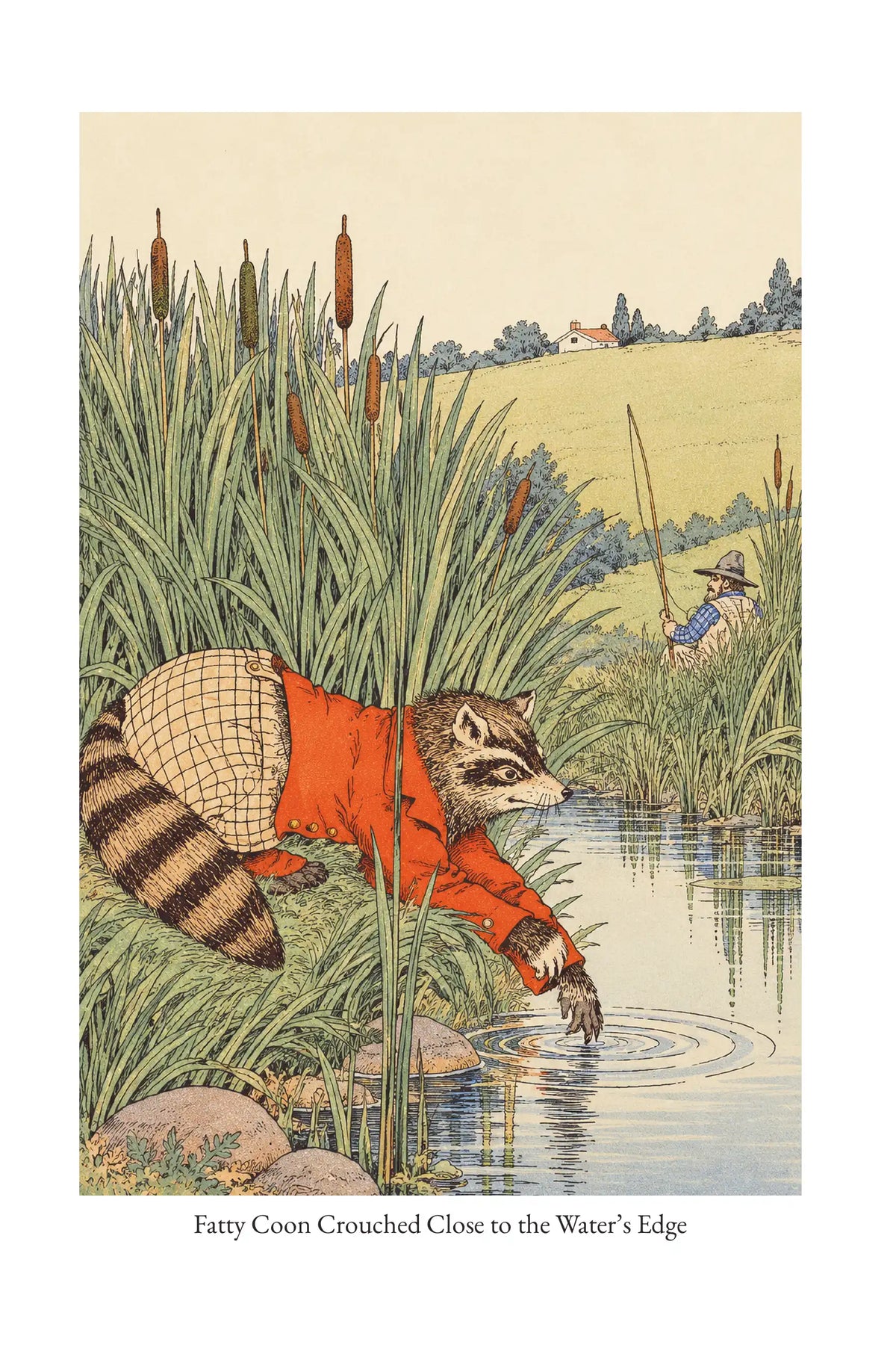 Fatty Coon Crouched Close to the Water’s Edge — full illustration page from The Tale of Fatty Coon