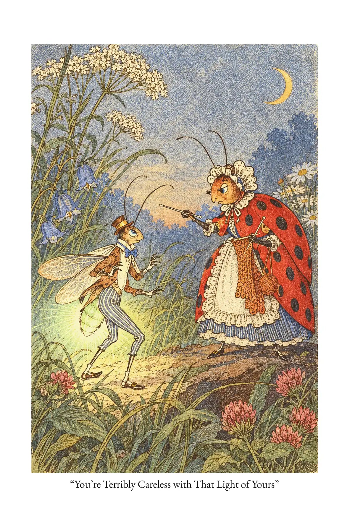 The Tale of Freddie Firefly by Arthur Scott Bailey — frontispiece