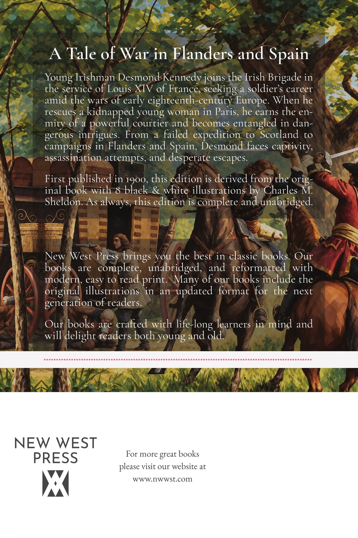 In the Irish Brigade — back cover