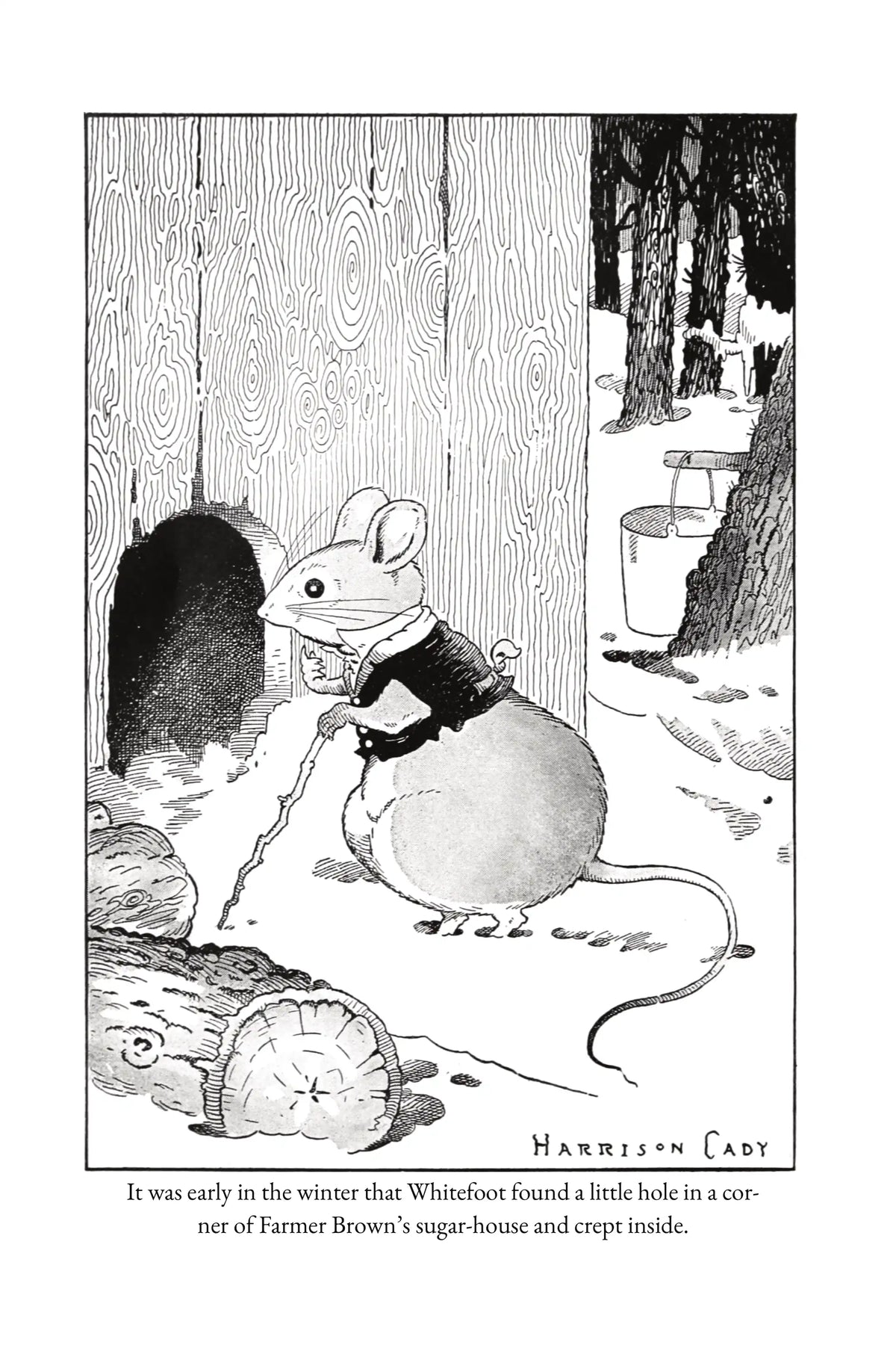 Frontispiece illustration from Whitefoot the Wood Mouse