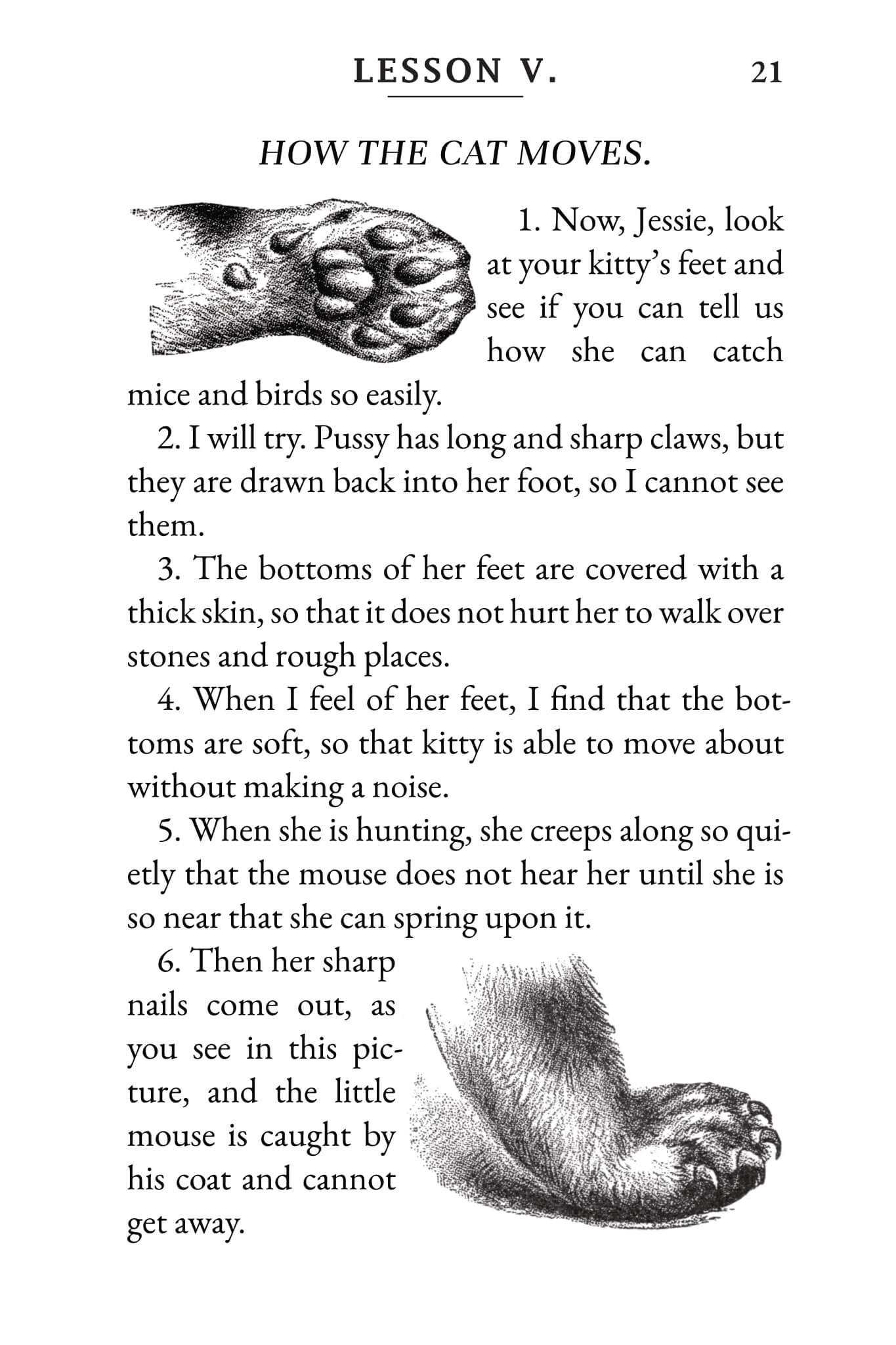 Book of Cats and Dogs