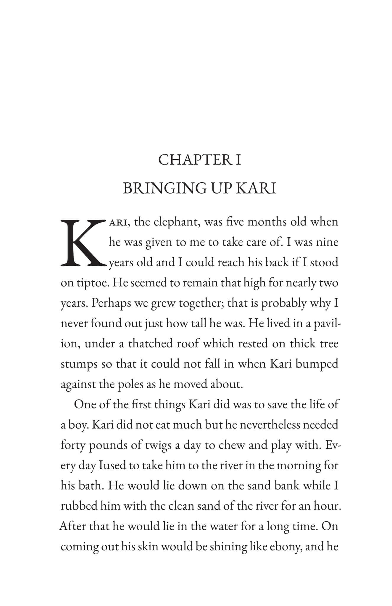 Kari the Elephant