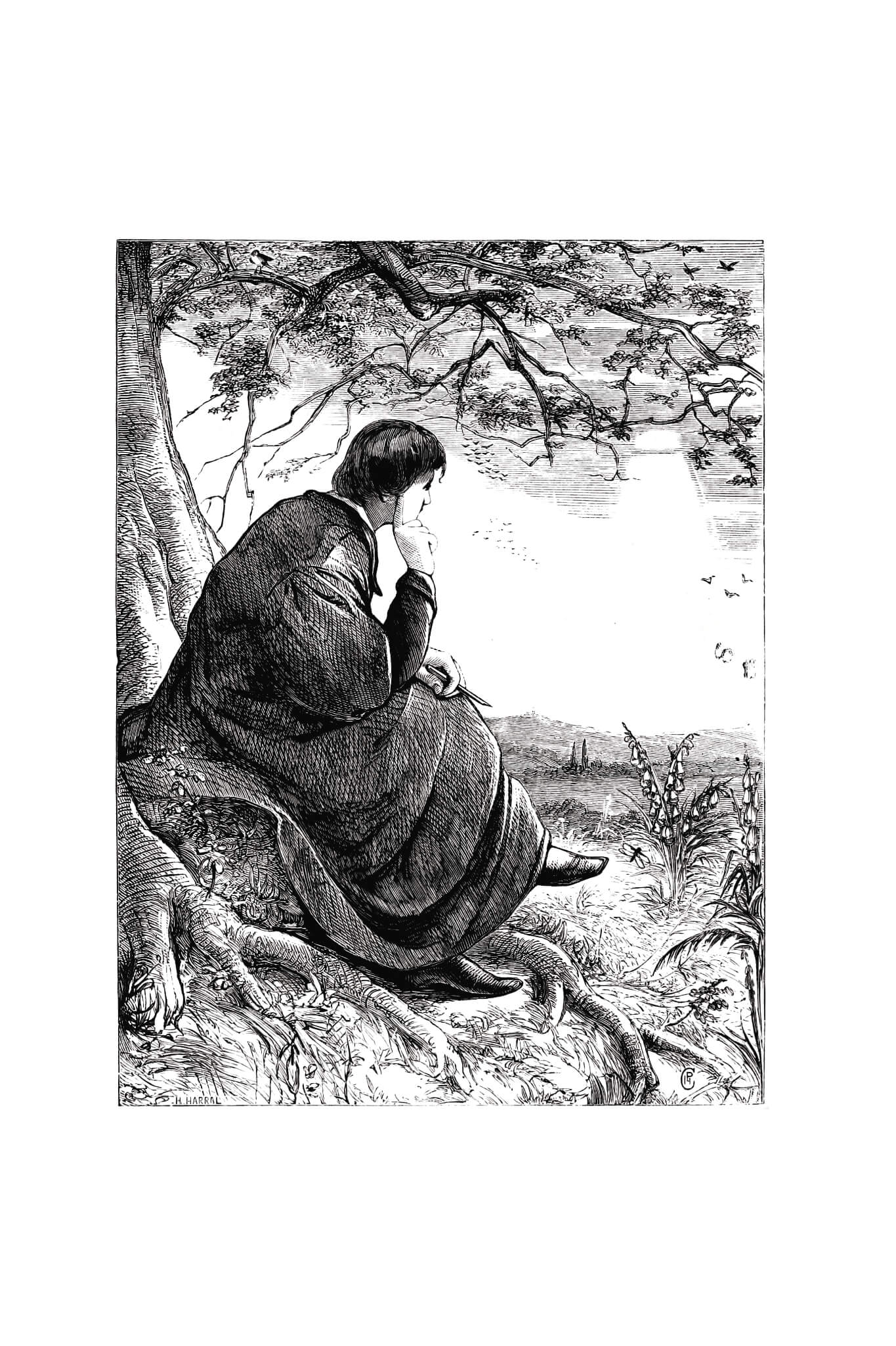 Parables from Nature