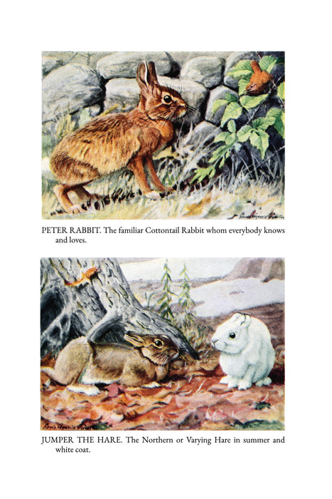 The Burgess Animal Book