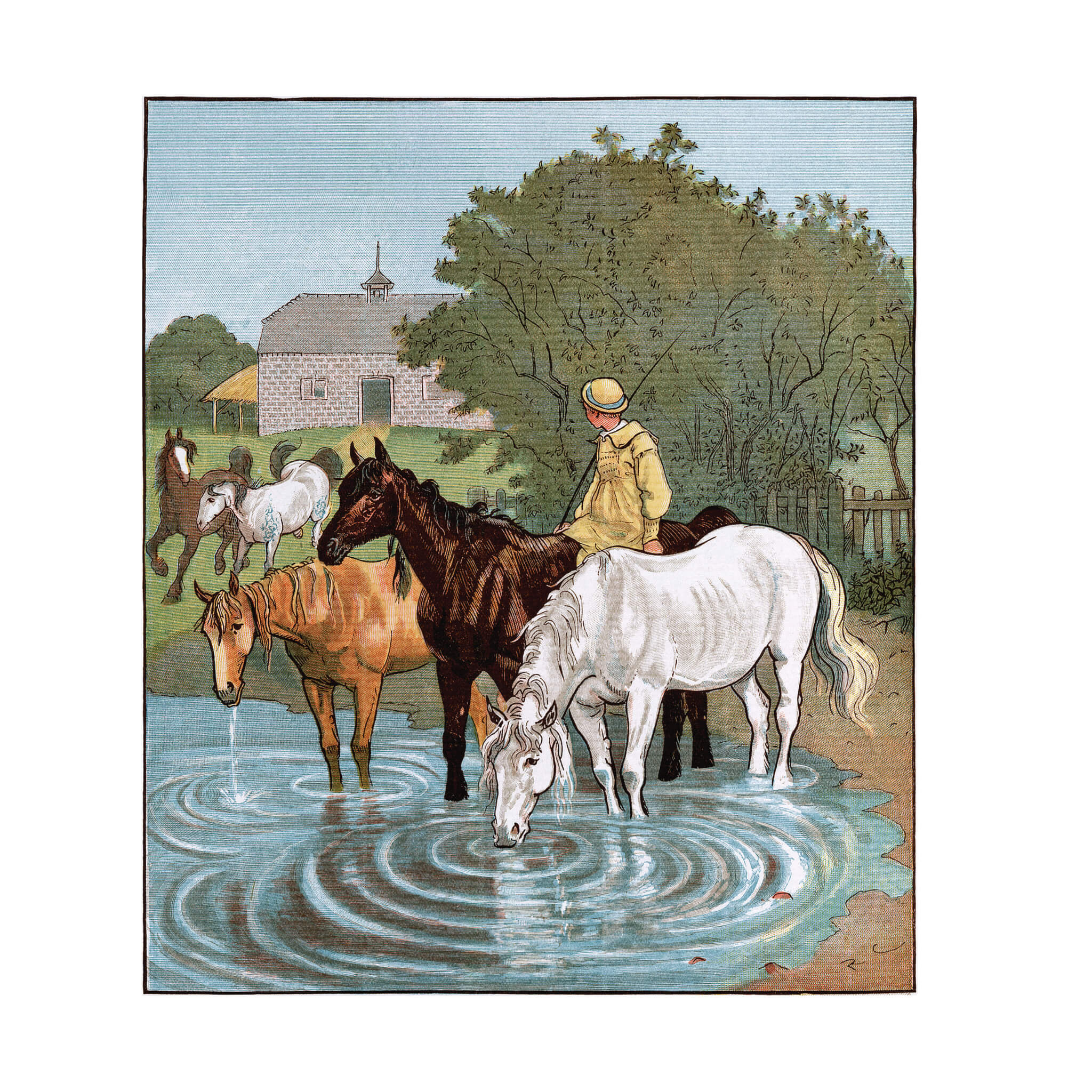 The Farmer's Boy