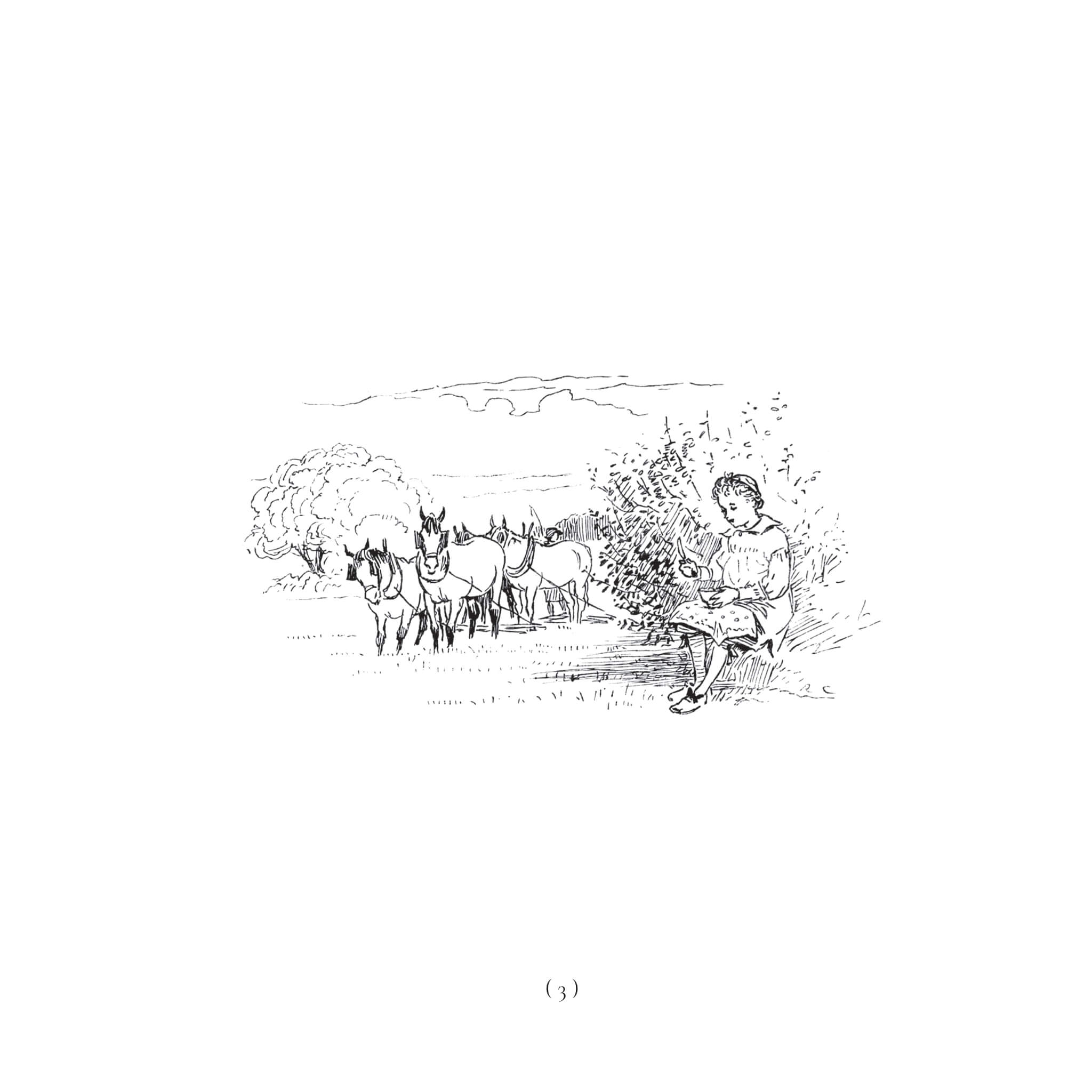 The Farmer's Boy