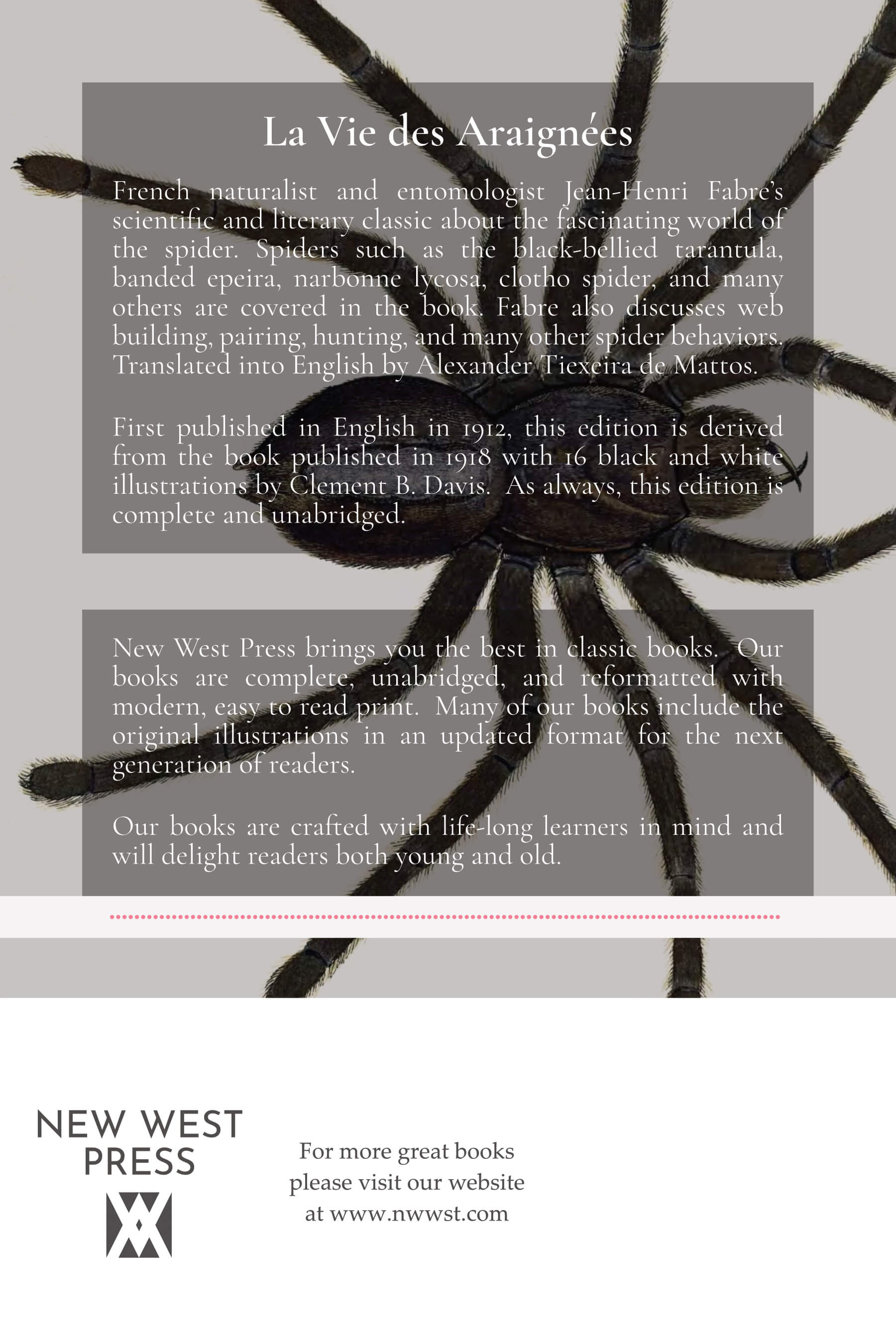 The Life of The Spider