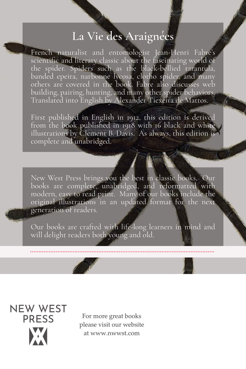 The Life of The Spider