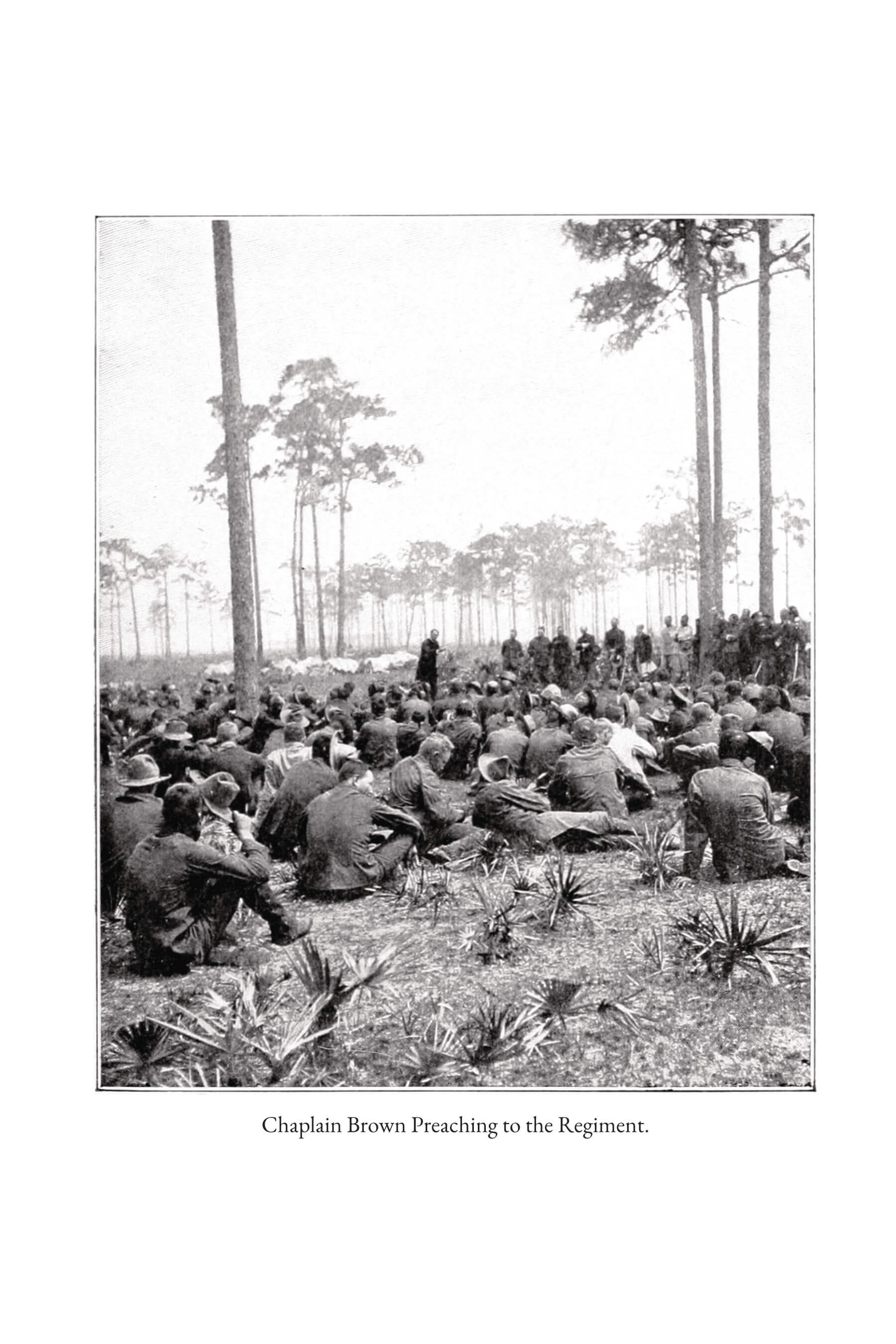 The Rough Riders