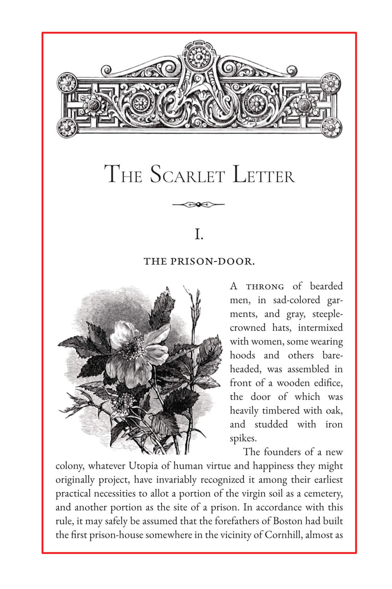 The Scarlet Letter