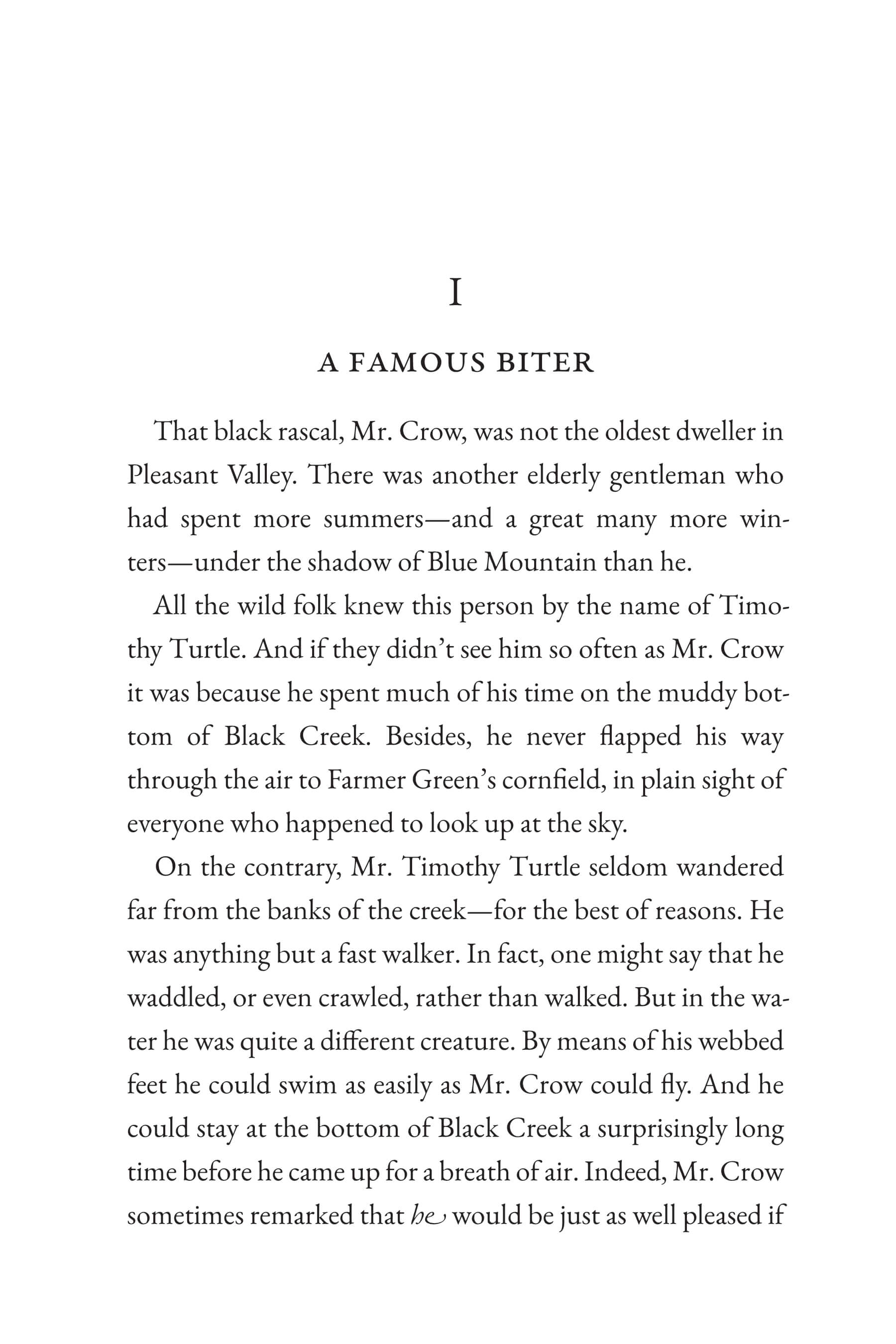 The Tale of Timothy Turtle