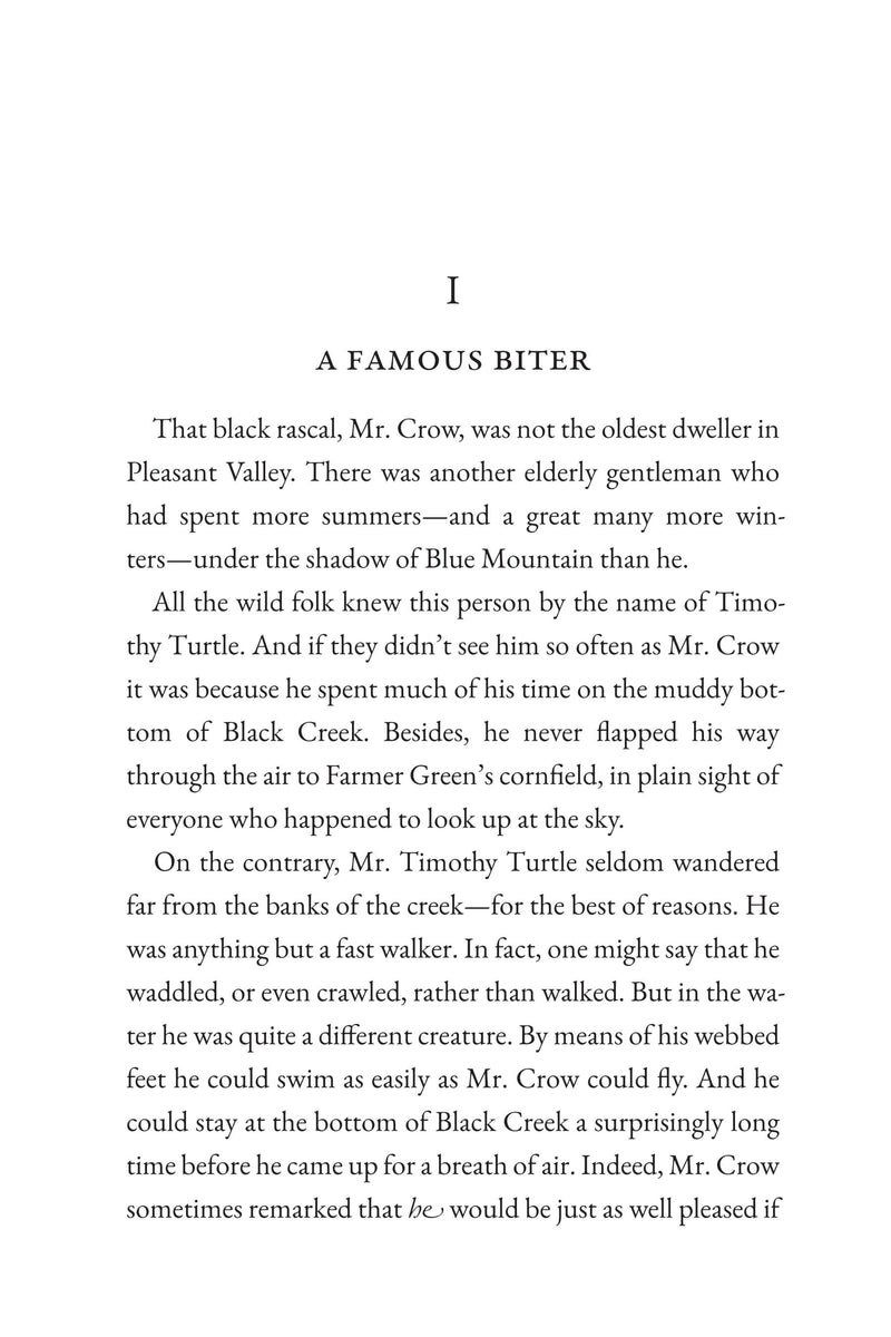 The Tale of Timothy Turtle