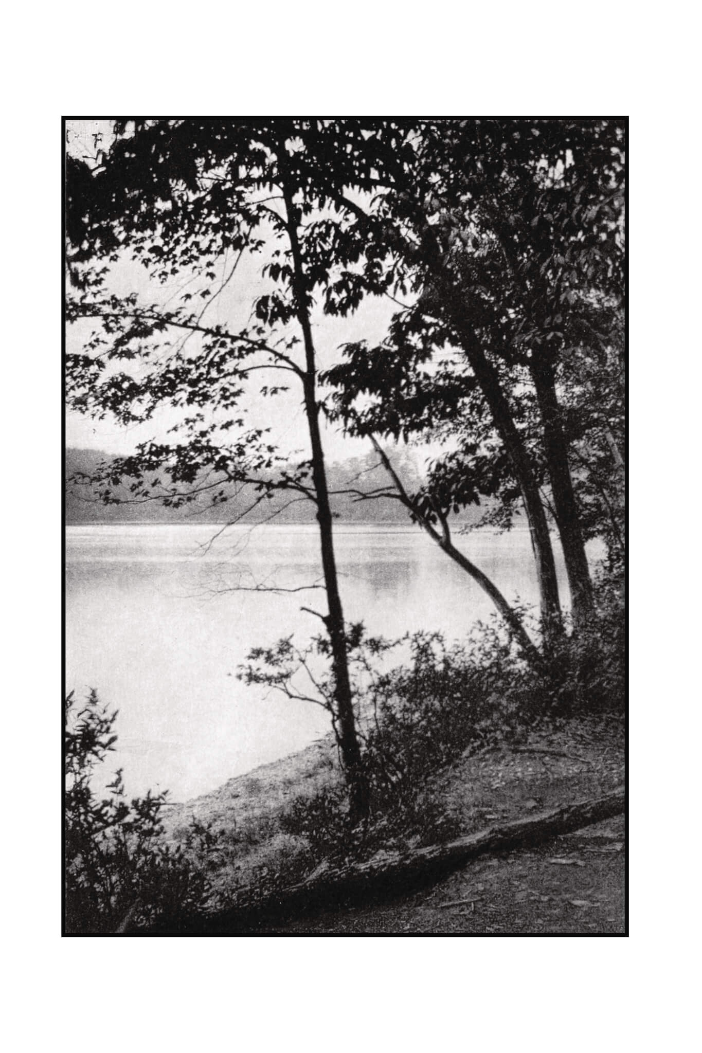Walden